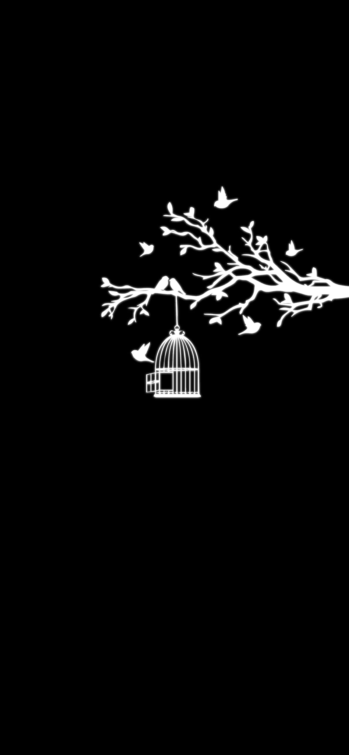 Bird Cage Pixel 3XL AMOLED Background Picha ya Ukuta