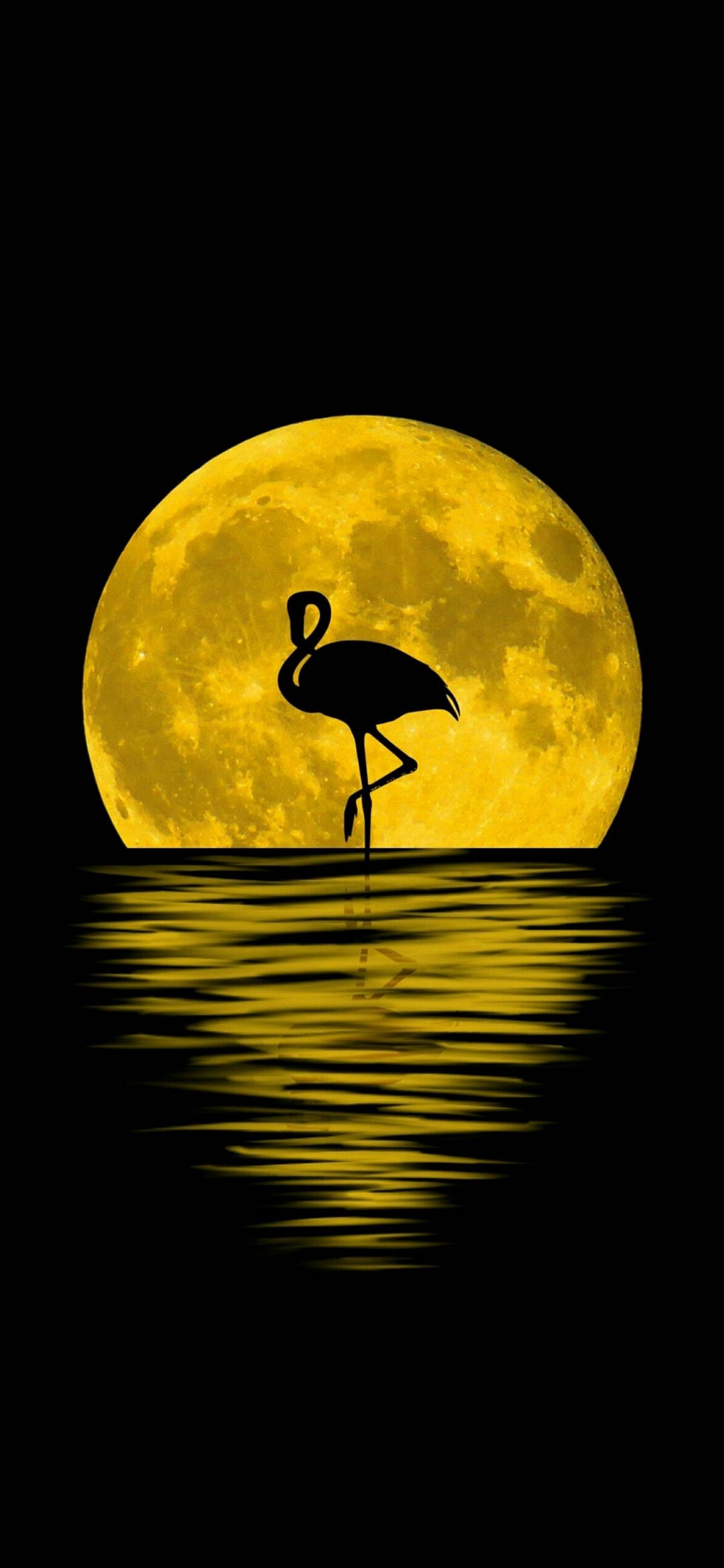 Note 10 Plus Flamingo Moon Picha ya Ukuta
