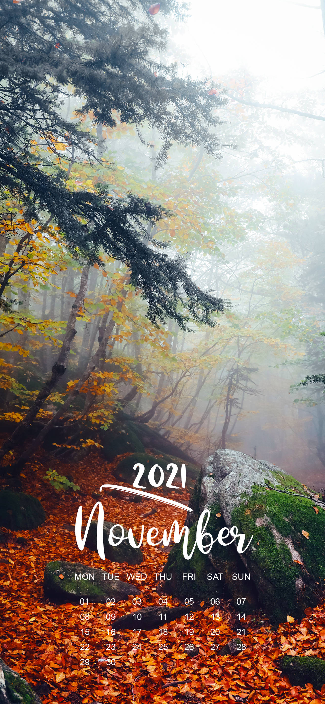 November 2021 Calendar Foggy Forest Picha ya Ukuta