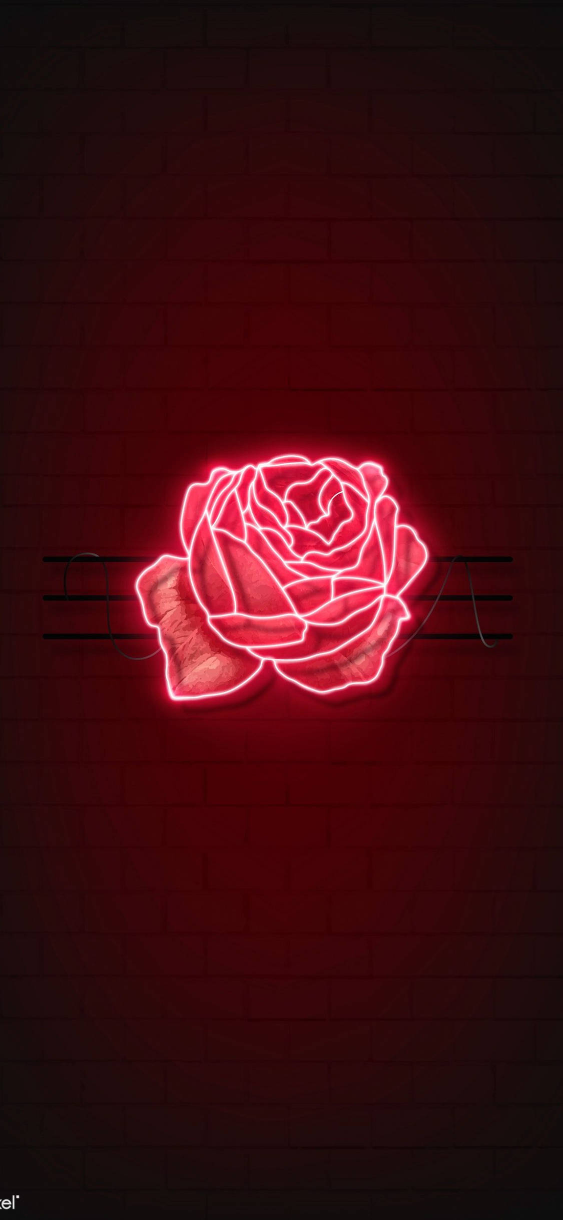 Nuru Nyekundu ya Rose LED Picha ya Ukuta