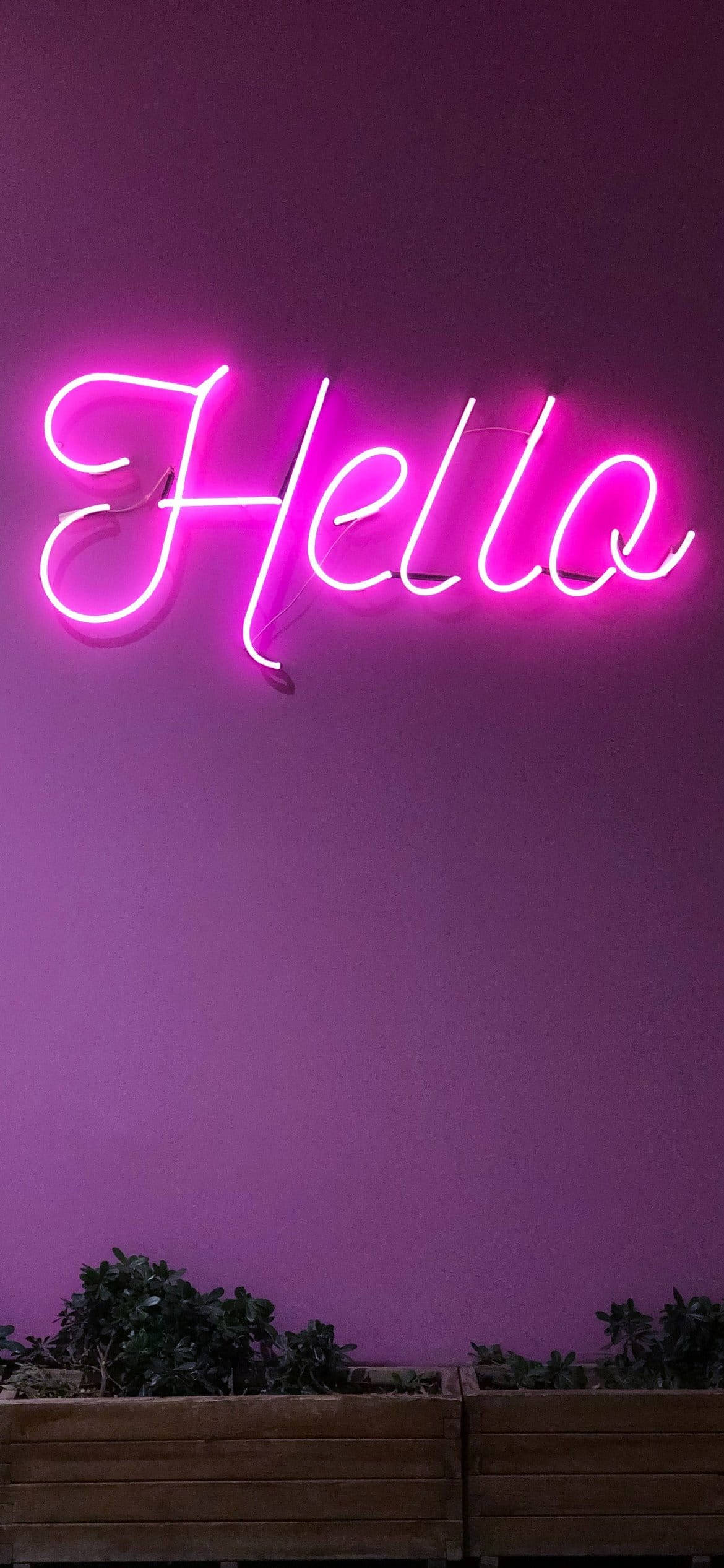 Nuru ya Zambarau Nyepesi Saluti Katika Neon Picha ya Ukuta
