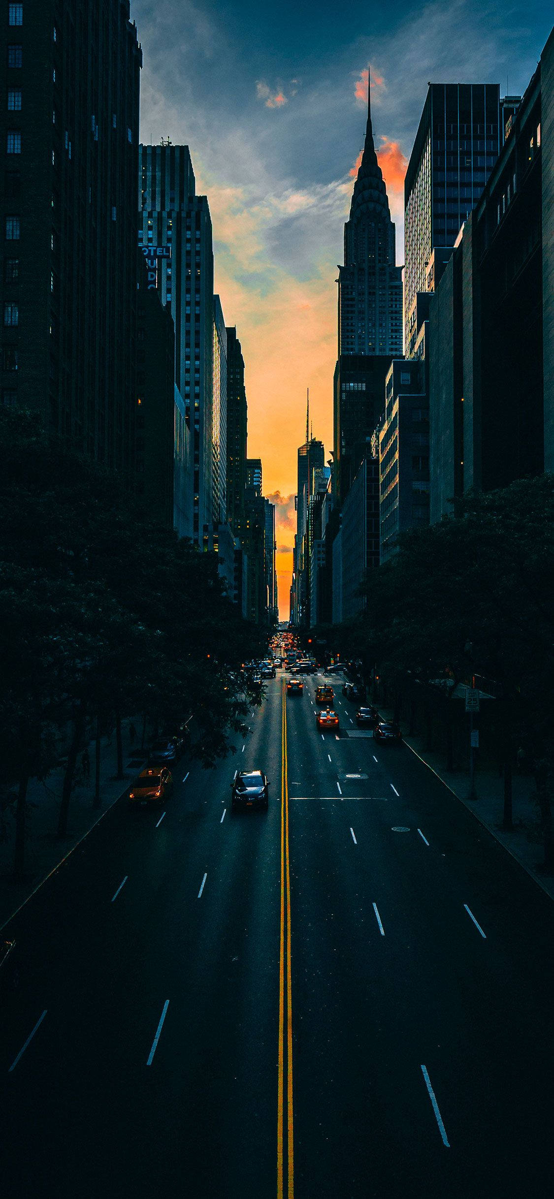 Nyamuzi Miongoni Mwa Nyumba Za New York iPhone Picha ya Ukuta