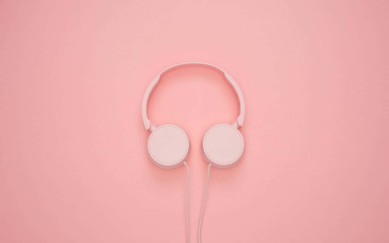 nyehe za pink kwenye mwoneko wa pink Picha ya Ukuta