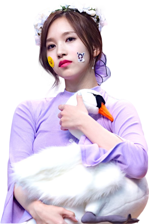 Nyota wa Kpop Akiwa na Bata Mzinga wa Kujaza Picha ya Ukuta