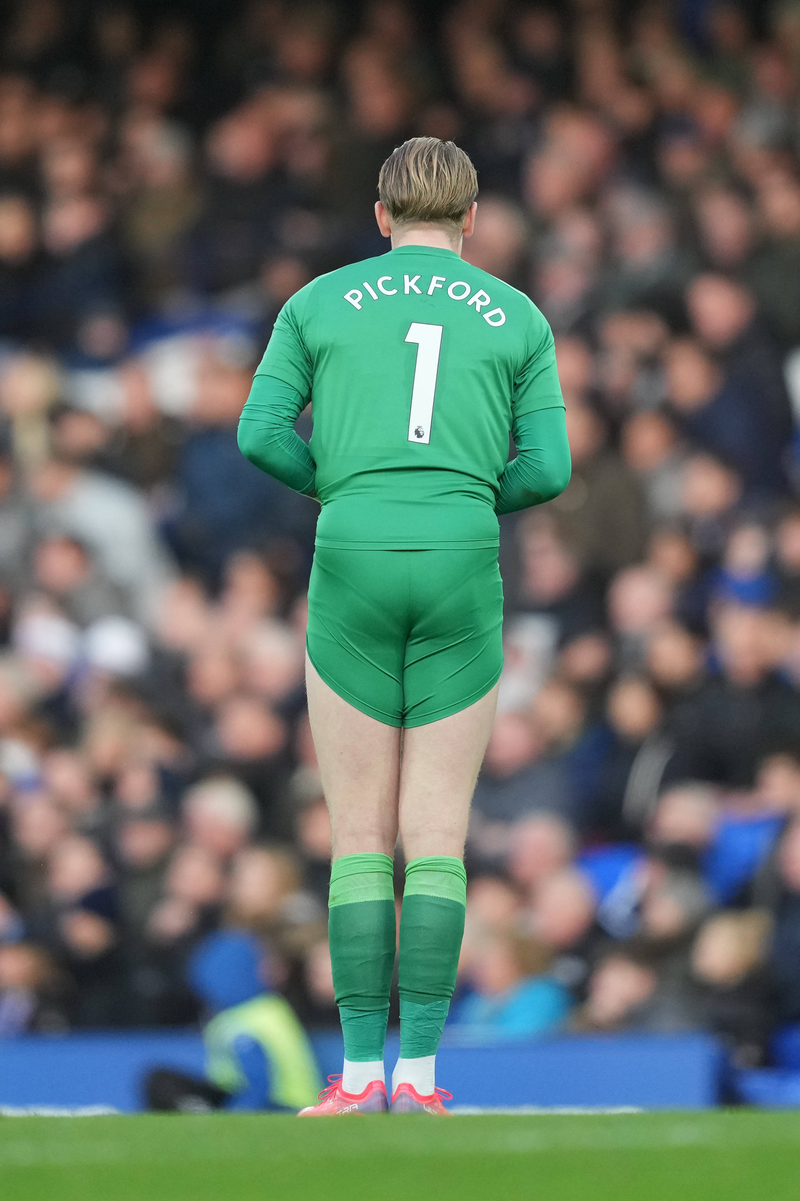 Nyuma ya Jordan Pickford Kwenye Kijani Picha ya Ukuta
