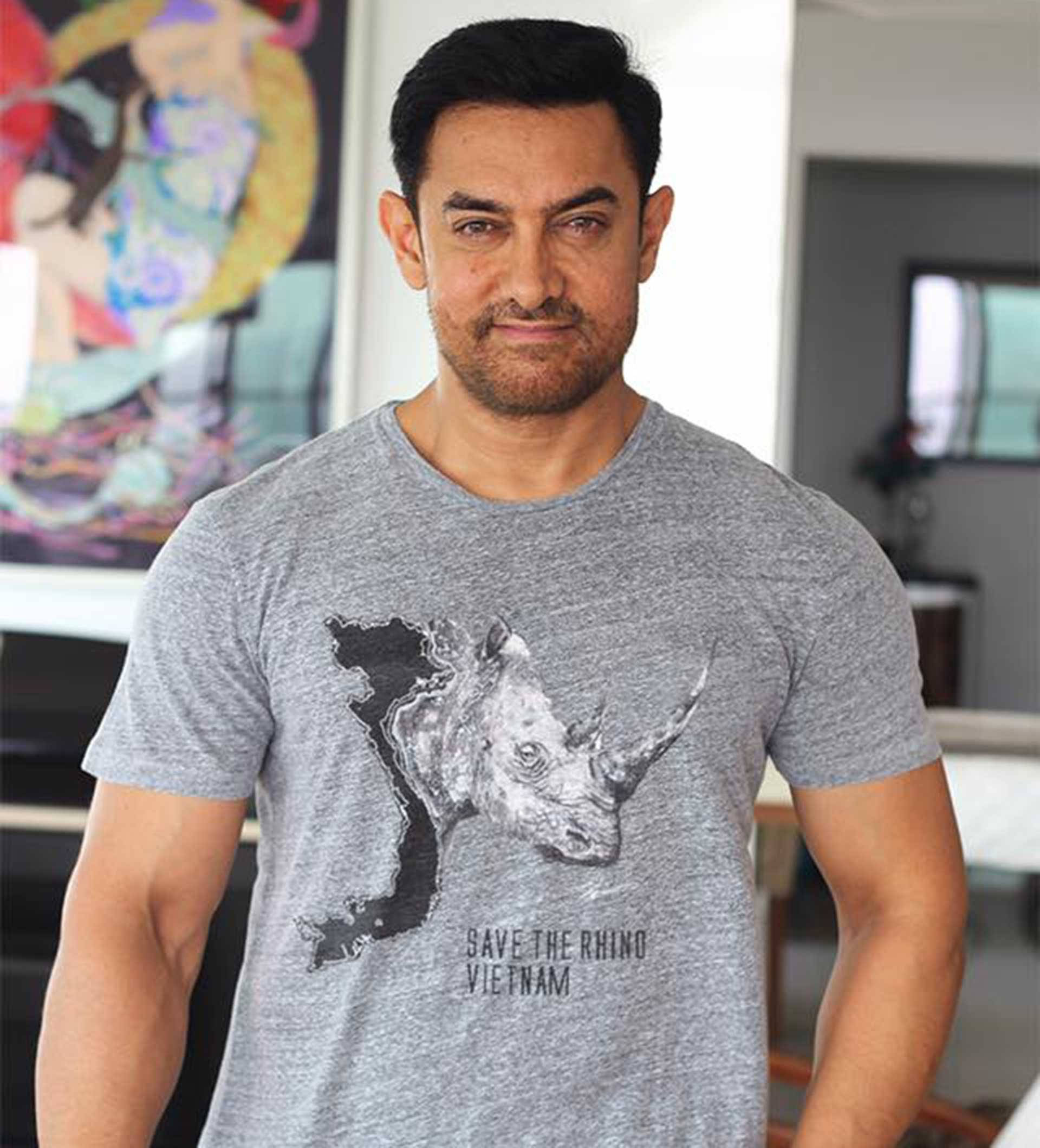 Nyumba ya Aamir Khan Picha ya Ukuta