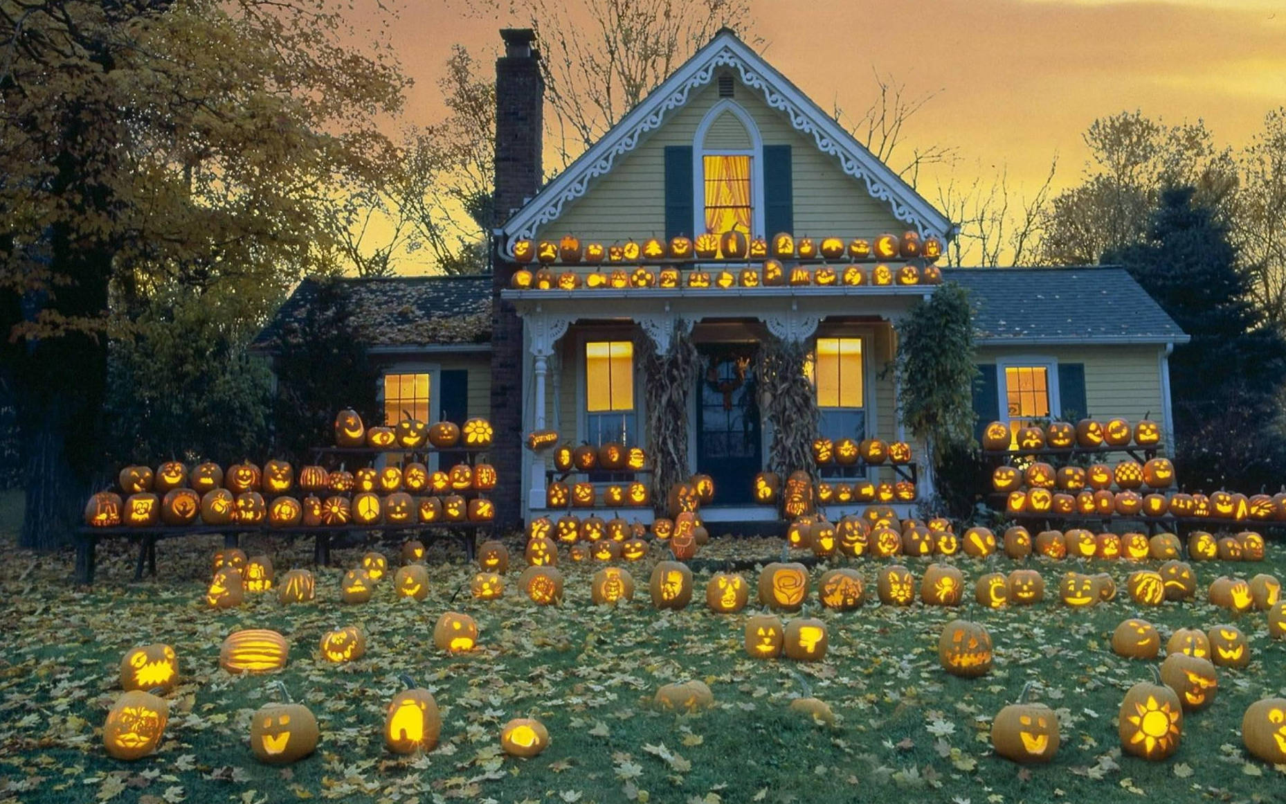 Nyumba ya Halloween ya Kupendeza ya Jack O' Lanterns Picha ya Ukuta