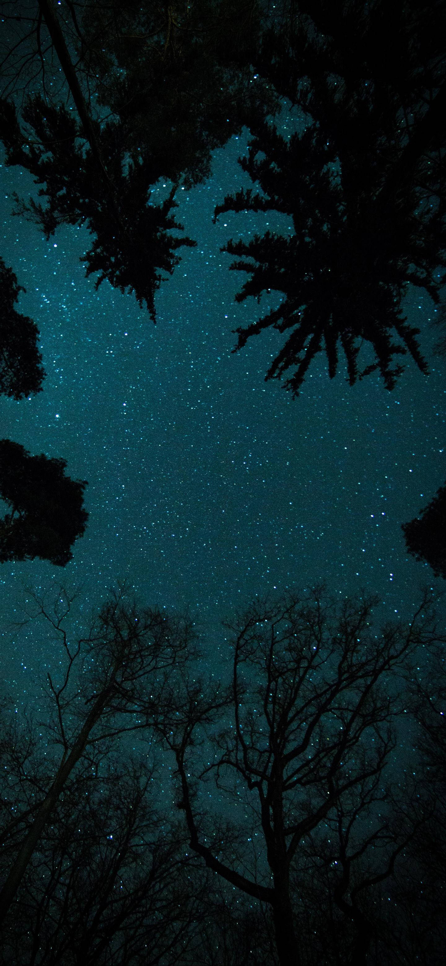OnePlus Starry Night Sky Picha ya Ukuta
