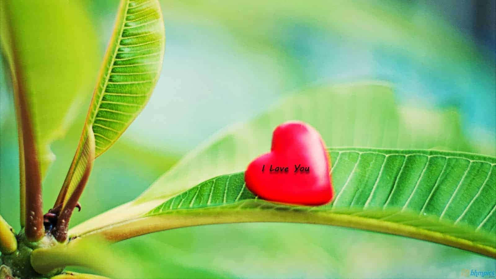 Onyesha upendo wako kwa mandhari ya kimapenzi ya I Love You. Picha ya Ukuta