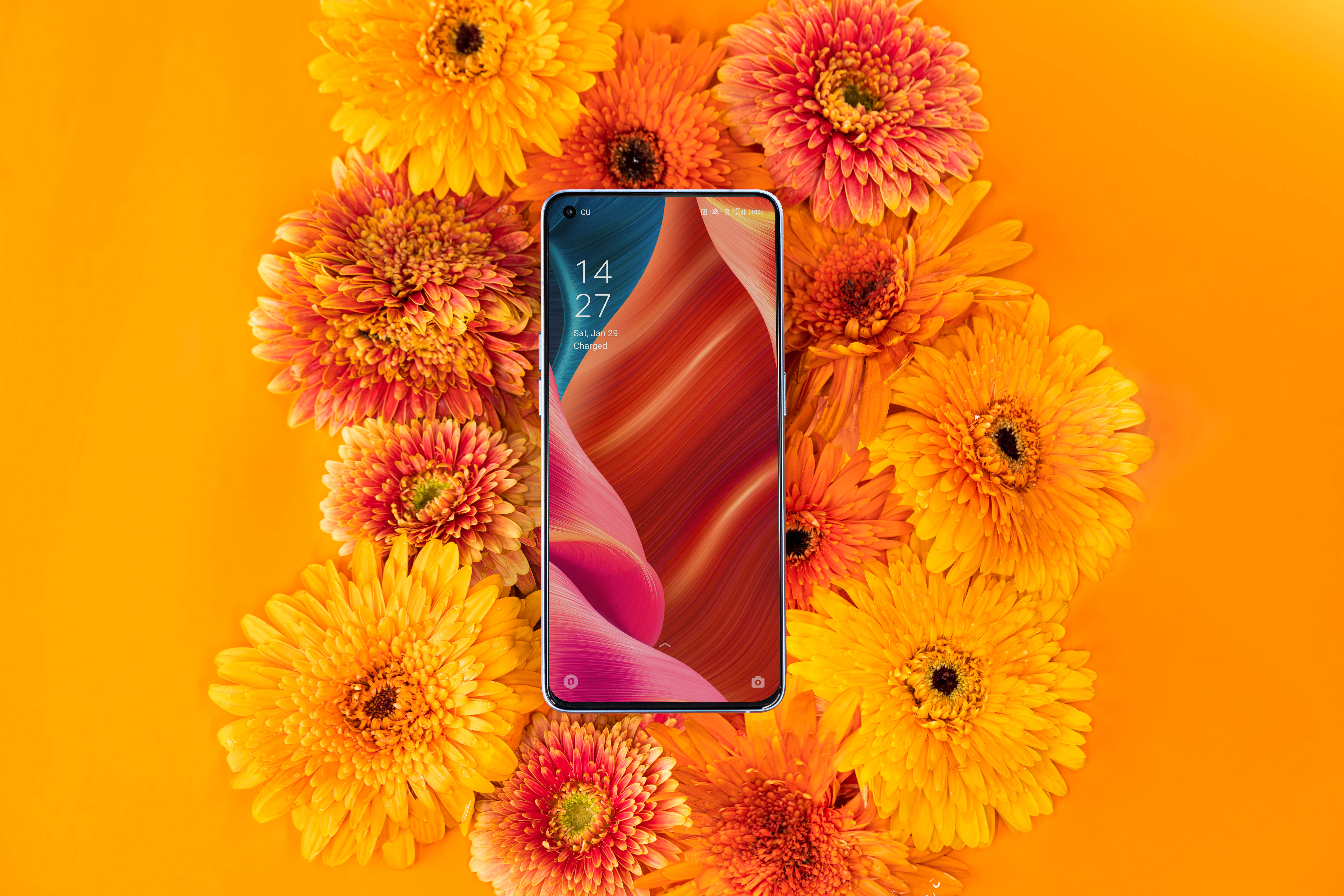 Oppo Smartphone na Mimea ya Kufurika Picha ya Ukuta