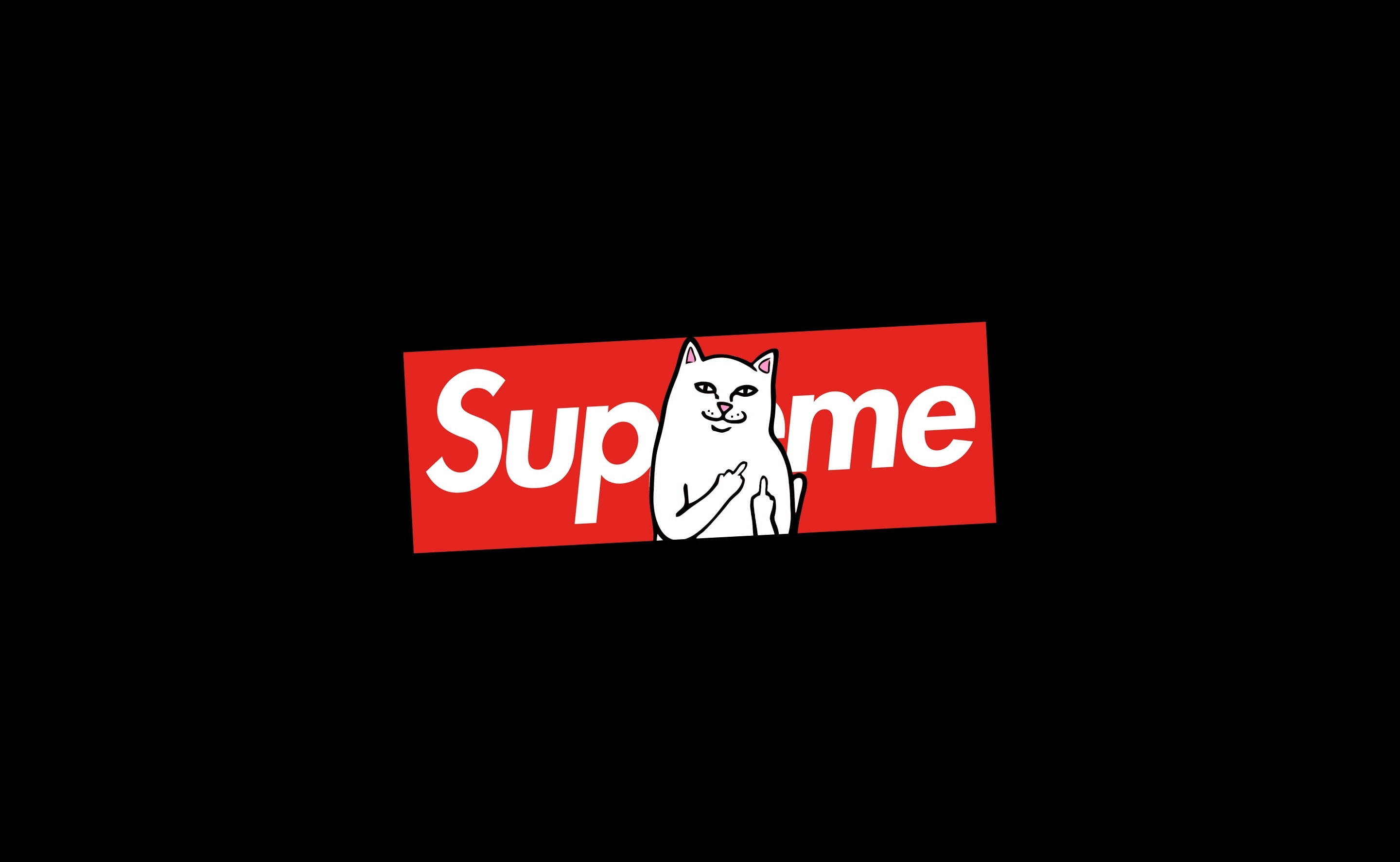 Paka Aketi Kwenye Laptop ya Supreme Picha ya Ukuta