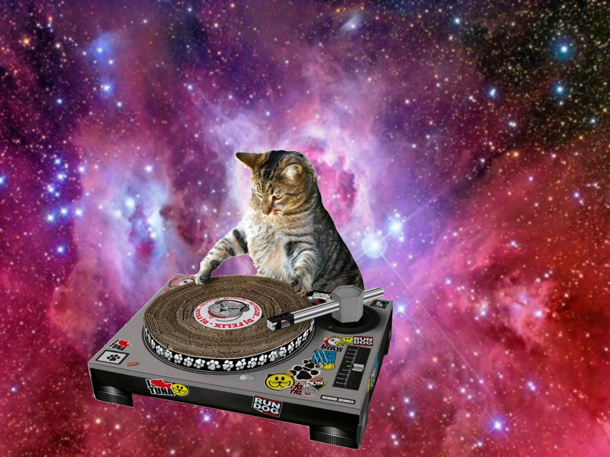 Paka Mcheshi DJ Anacheza Katika Anga Picha ya Ukuta