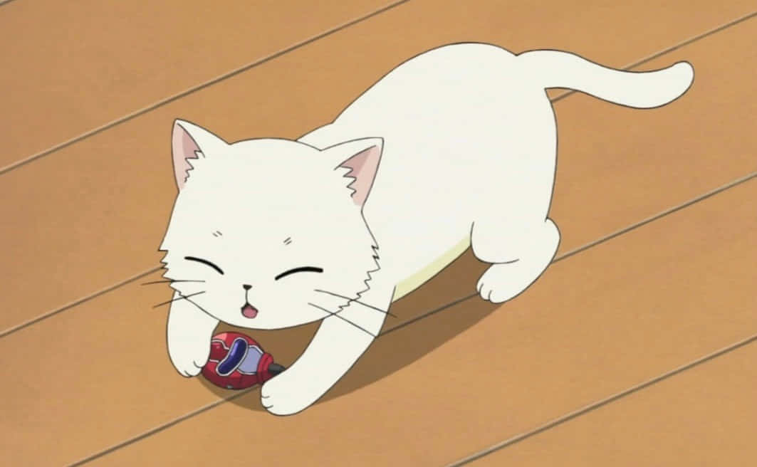 Paka Mrembo wa Anime Anasafiri Picha ya Ukuta