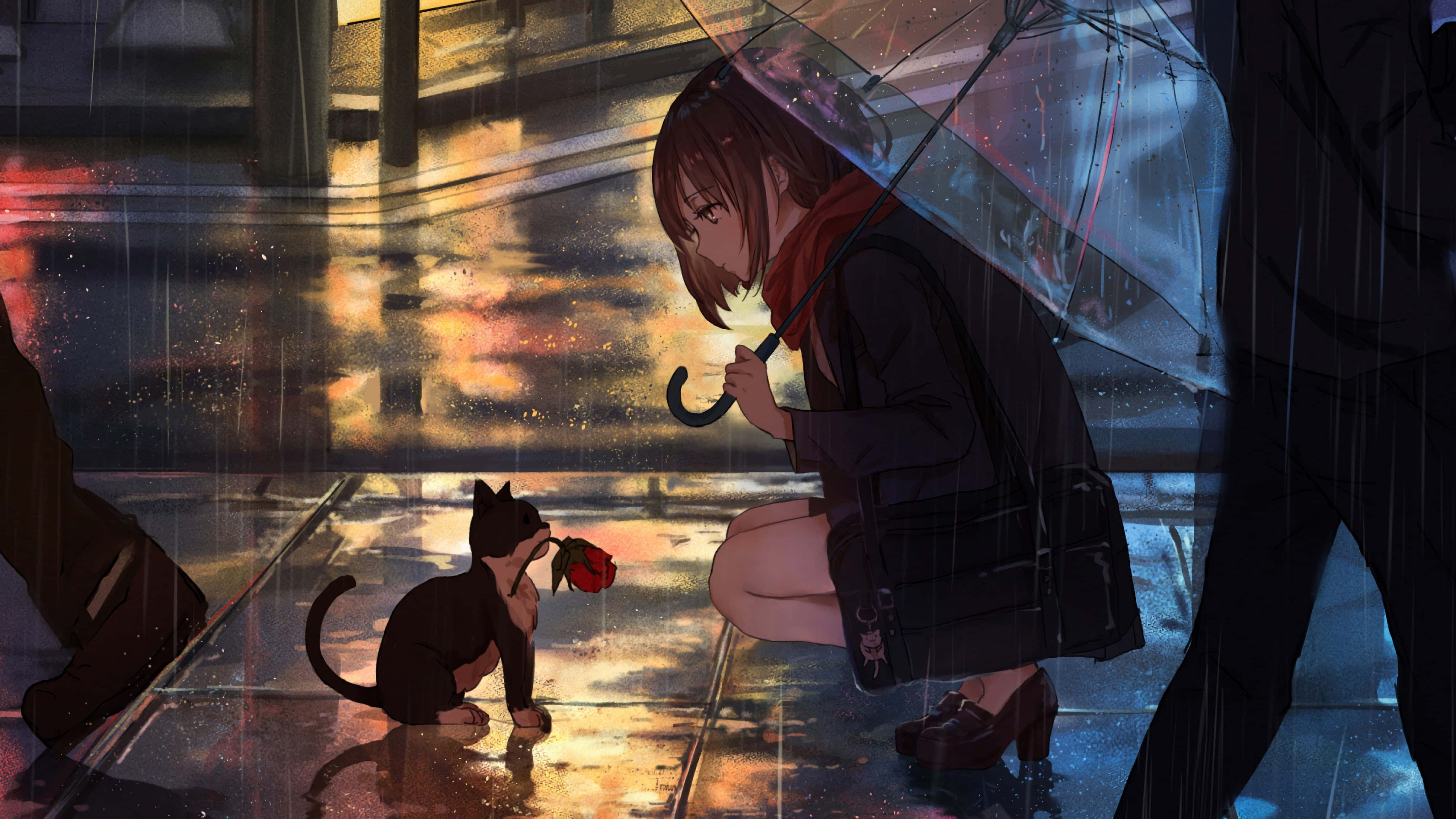 Paka Mrembo wa Anime Akiwa Amelala Fofofo Picha ya Ukuta