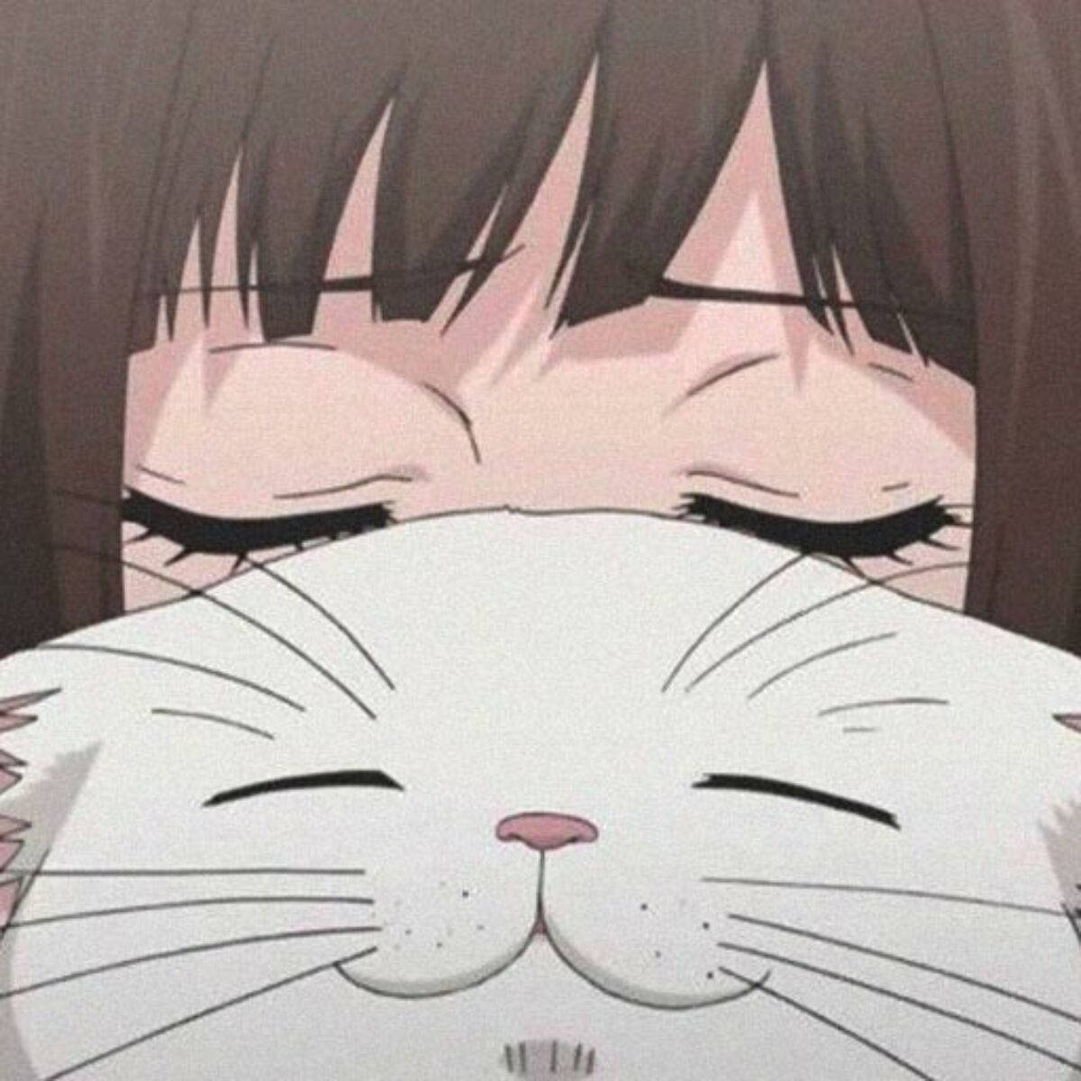 Paka Mrembo wa PFP na Msichana wa Anime Picha ya Ukuta