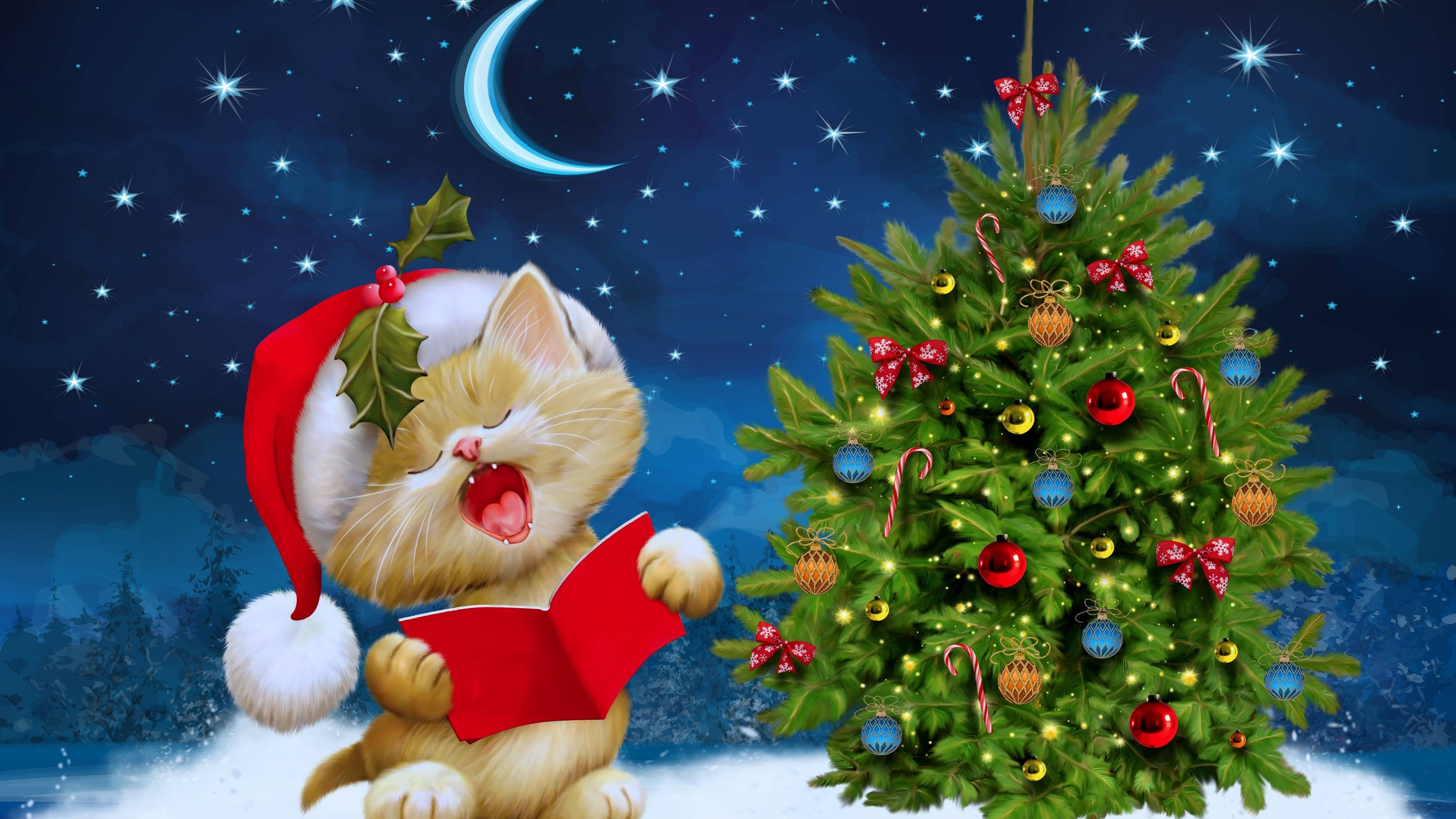 Paka mzuri aliyevaa kofia ya Santa kusherehekea Krismasi katika 4K Ultra HD. Picha ya Ukuta