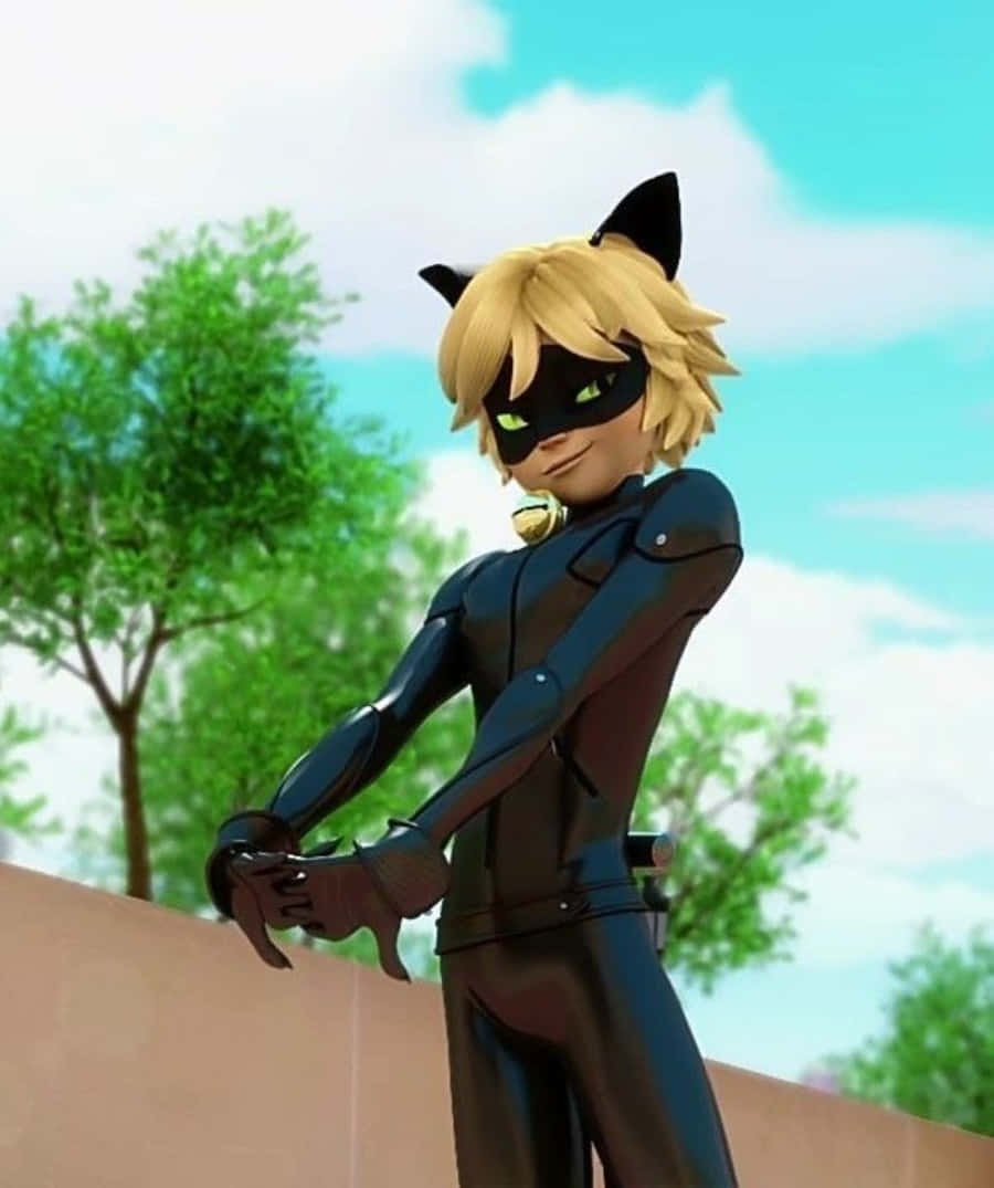Paka Mzuri Zaidi Mjini - Cat Noir Picha ya Ukuta