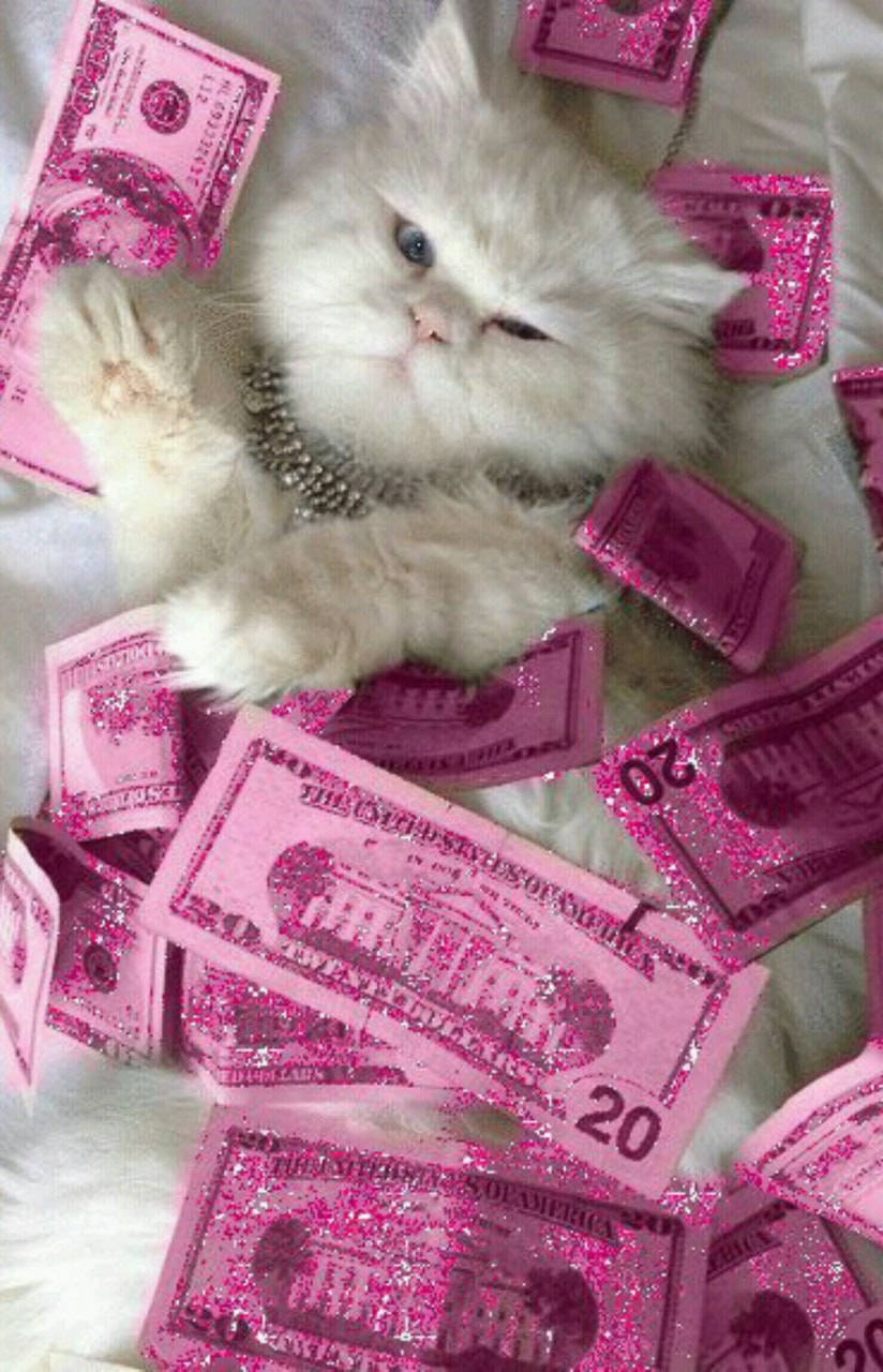Paka Pinki na Noti za Rangi ya Pinki Picha ya Ukuta