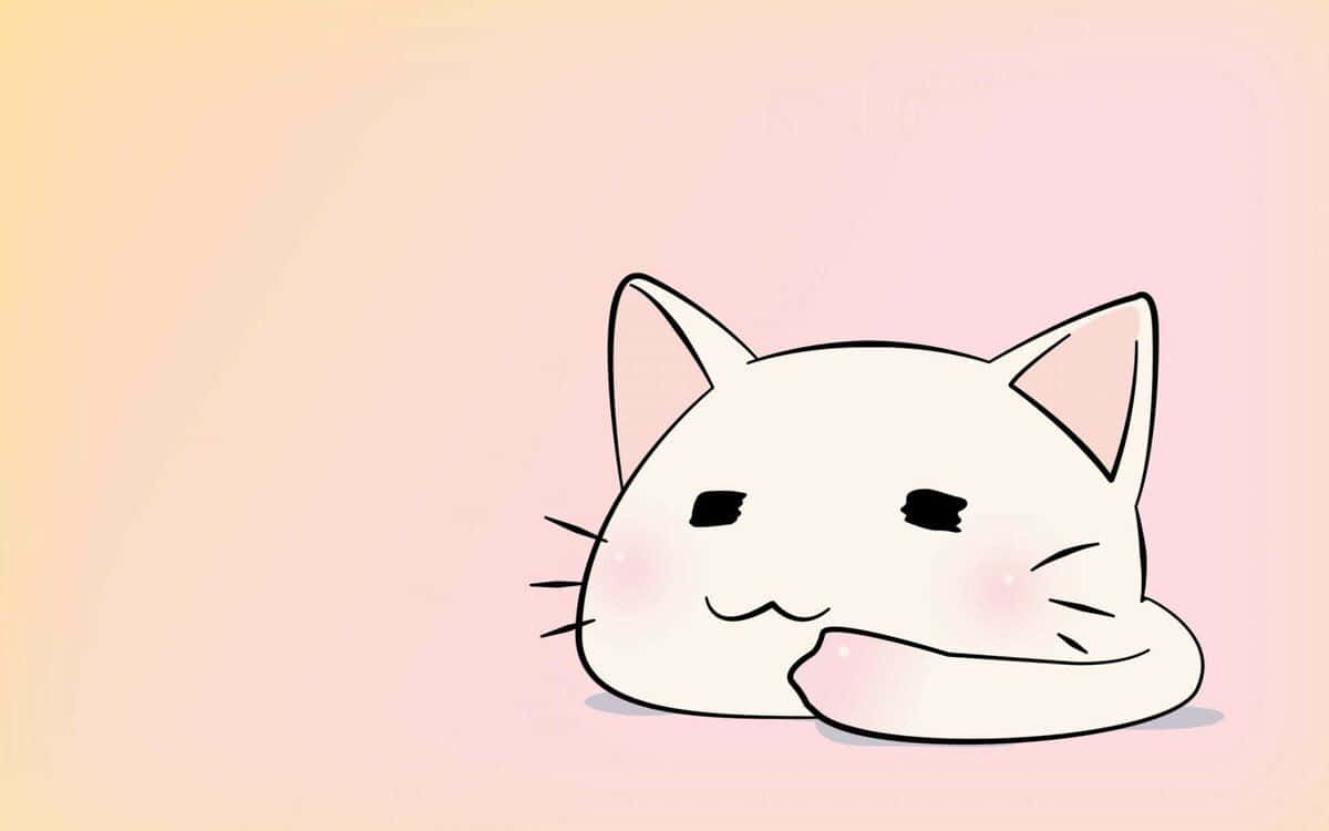 Paka wa Anime mrembo katika duka la wanyama Picha ya Ukuta