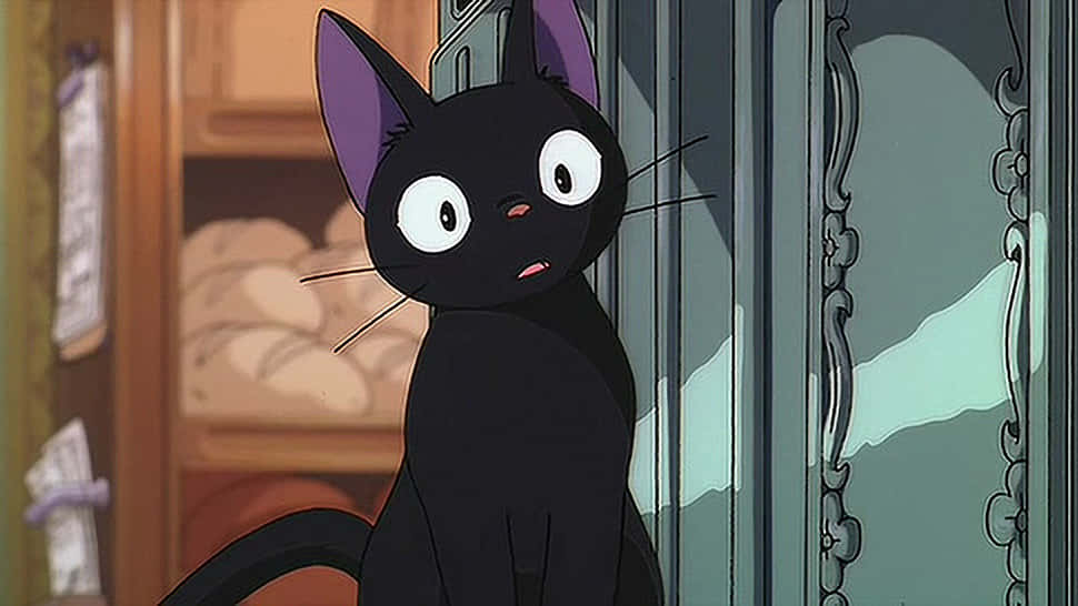 Paka wa Anime mwenye macho ya bluu akifurahia machweo Picha ya Ukuta