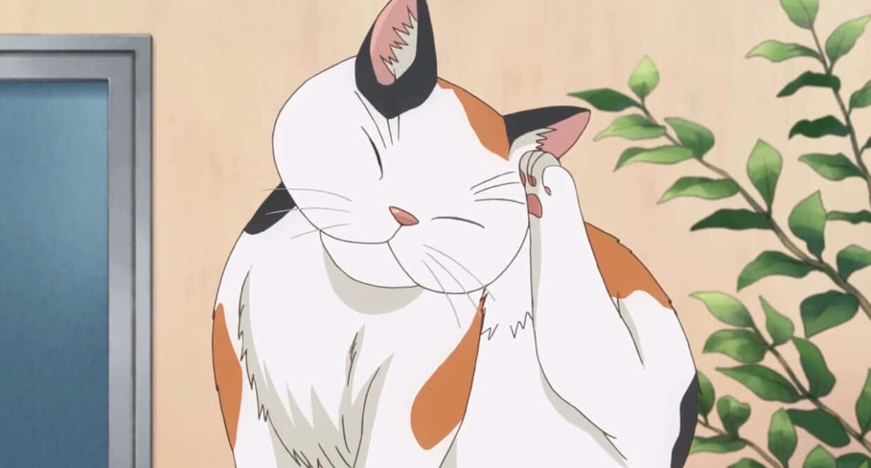 Paka wa anime mzuri sana mwenye miwani! Picha ya Ukuta