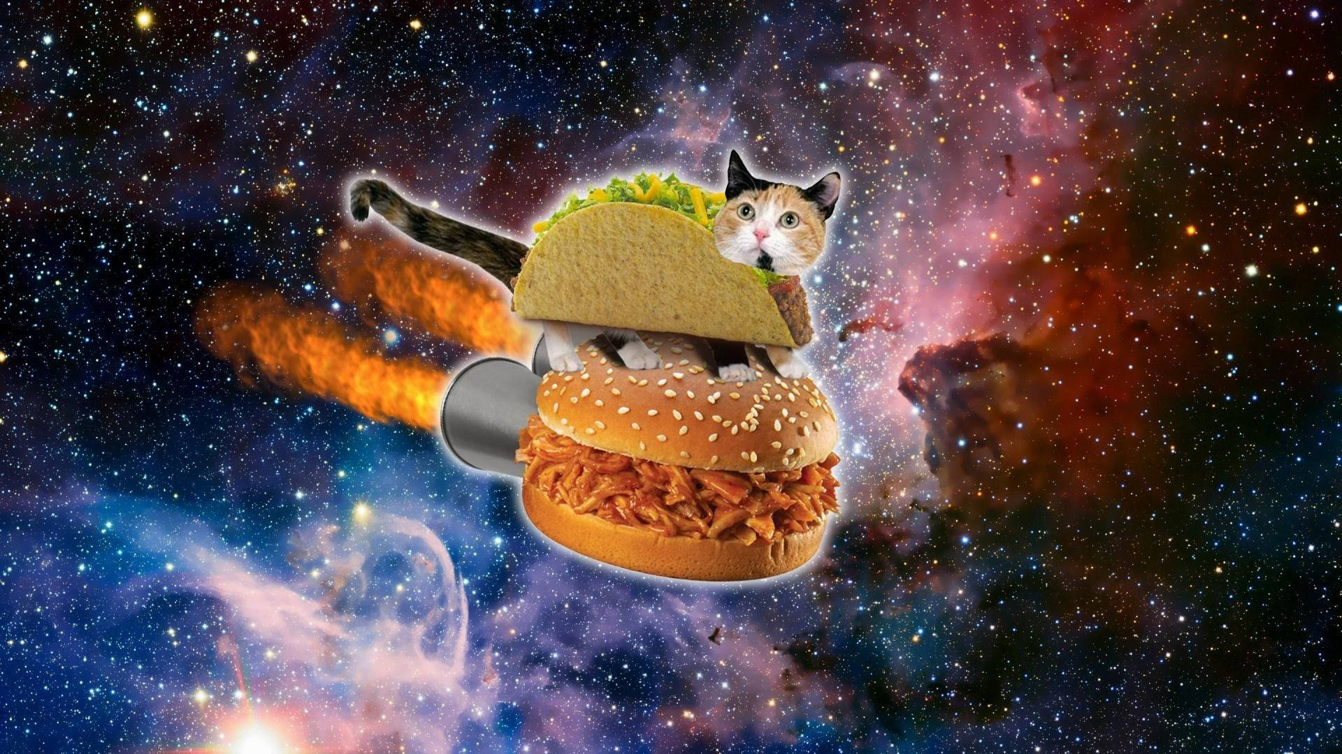Paka wa Kuchekesha Burger Angani Picha ya Ukuta
