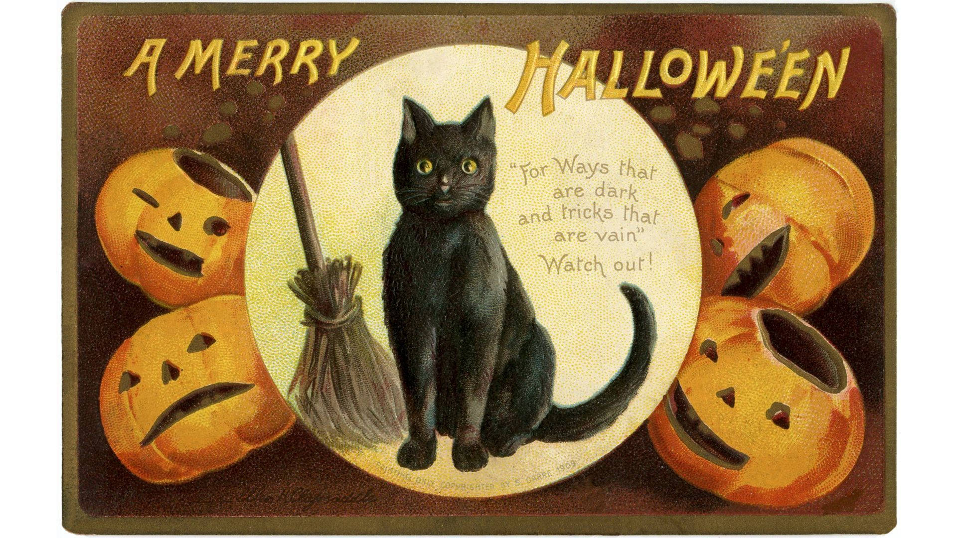Paka wa Mchawi wa Halloween ya Kale Picha ya Ukuta