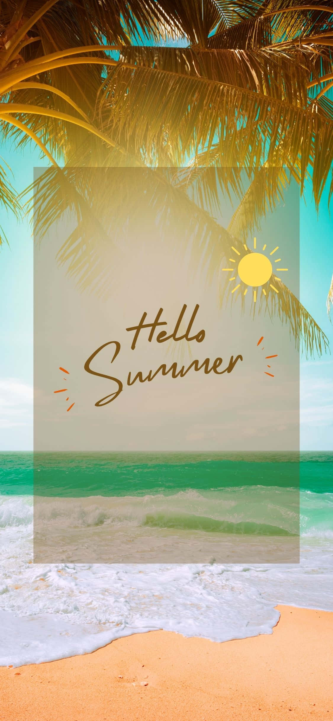 Palm Tree Over Beach iPhone X Summer Background Picha ya Ukuta