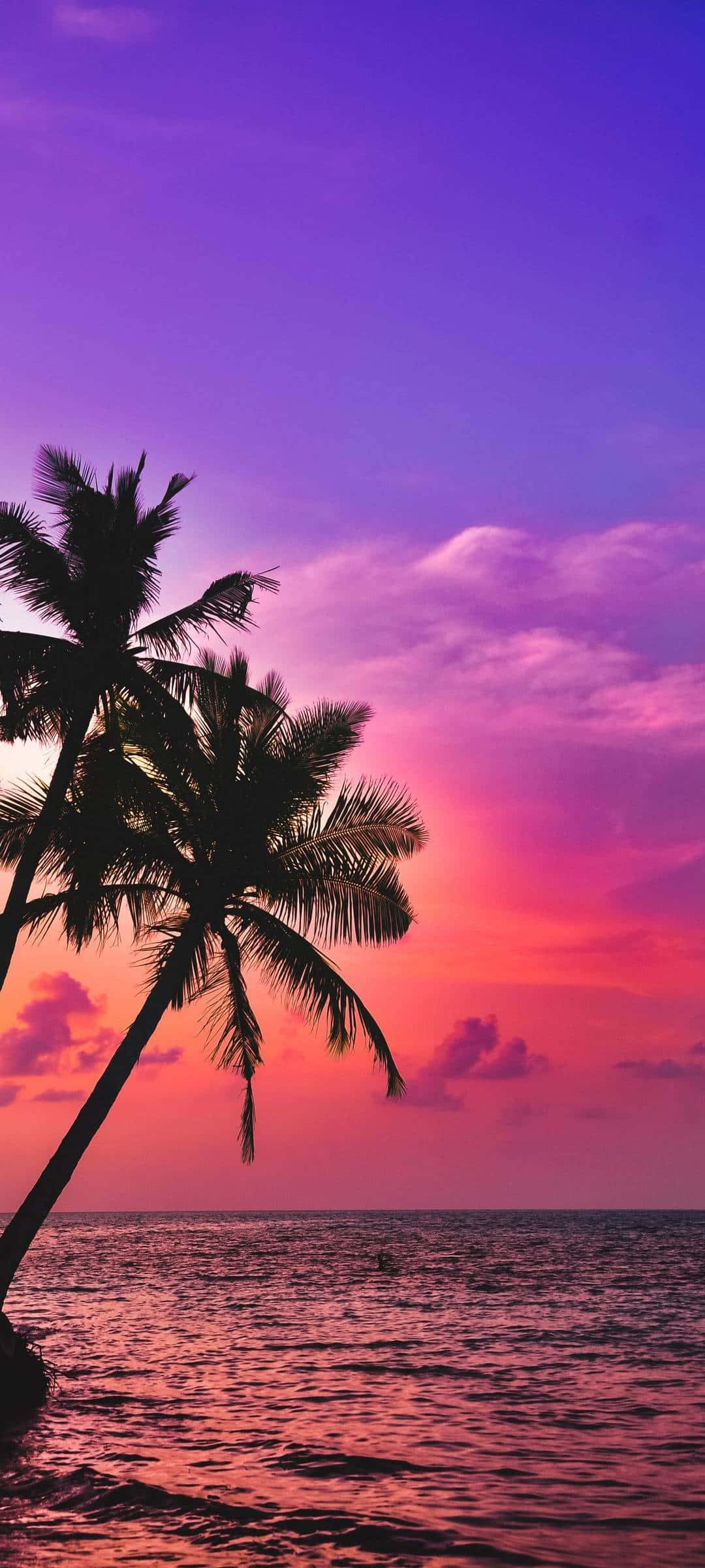 Palm Trees Beach Scenic Sunset Malibu Picha ya Ukuta
