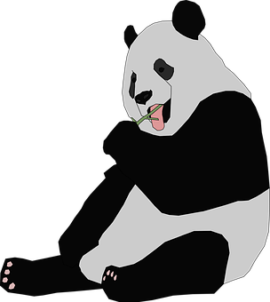 Panda Akila Mianzi Picha ya Ukuta