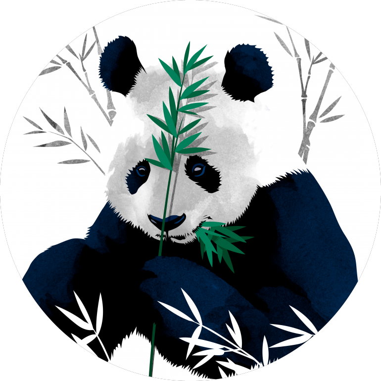 Panda Inayotia Mwitu wa Bamboo Sanaa ya Vekta Picha ya Ukuta