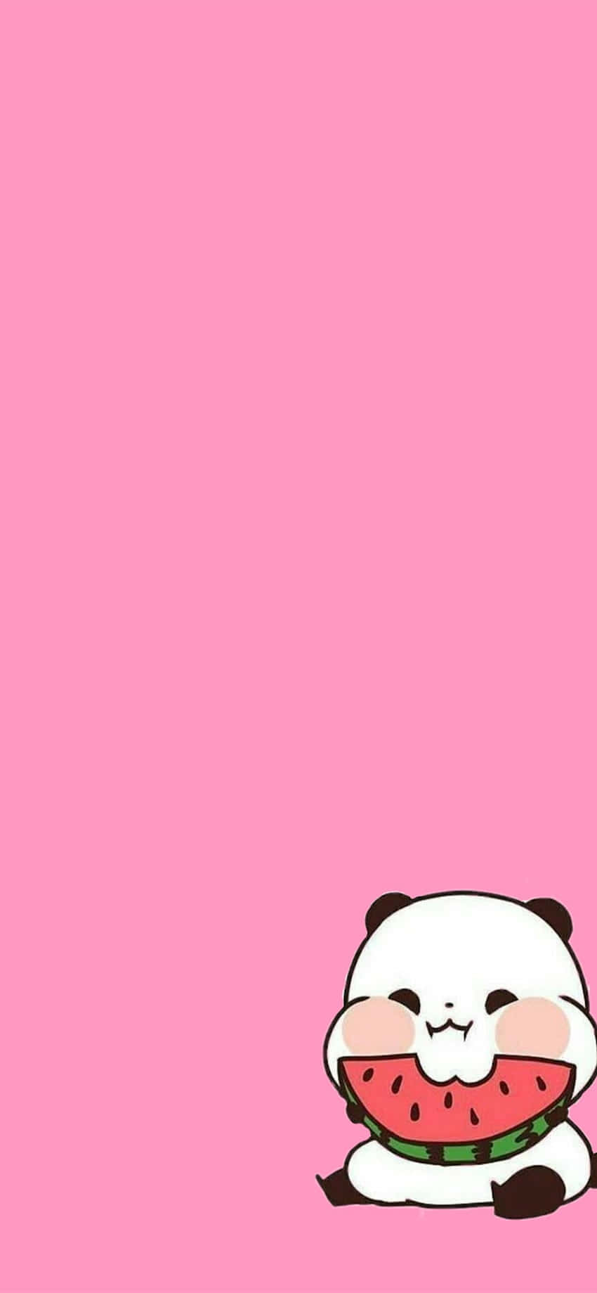 Panda Mrembo wa Kipinki na Tikiti Maji Picha ya Ukuta
