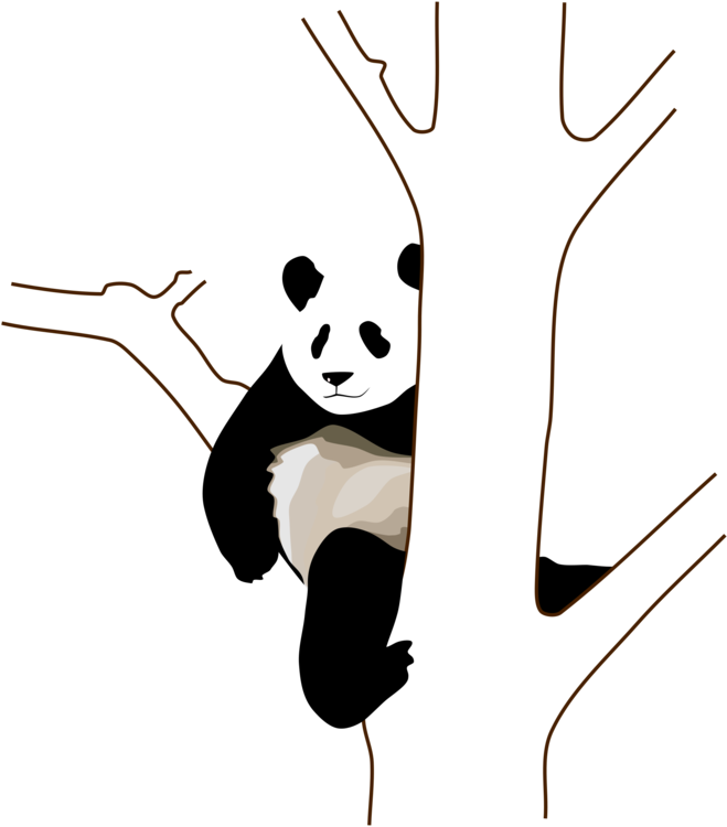 Panda Mzuri Inayokwamiza Mti Picha ya Ukuta