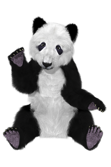 Panda Plush ya Rangi Iliyogeuzwa Picha ya Ukuta