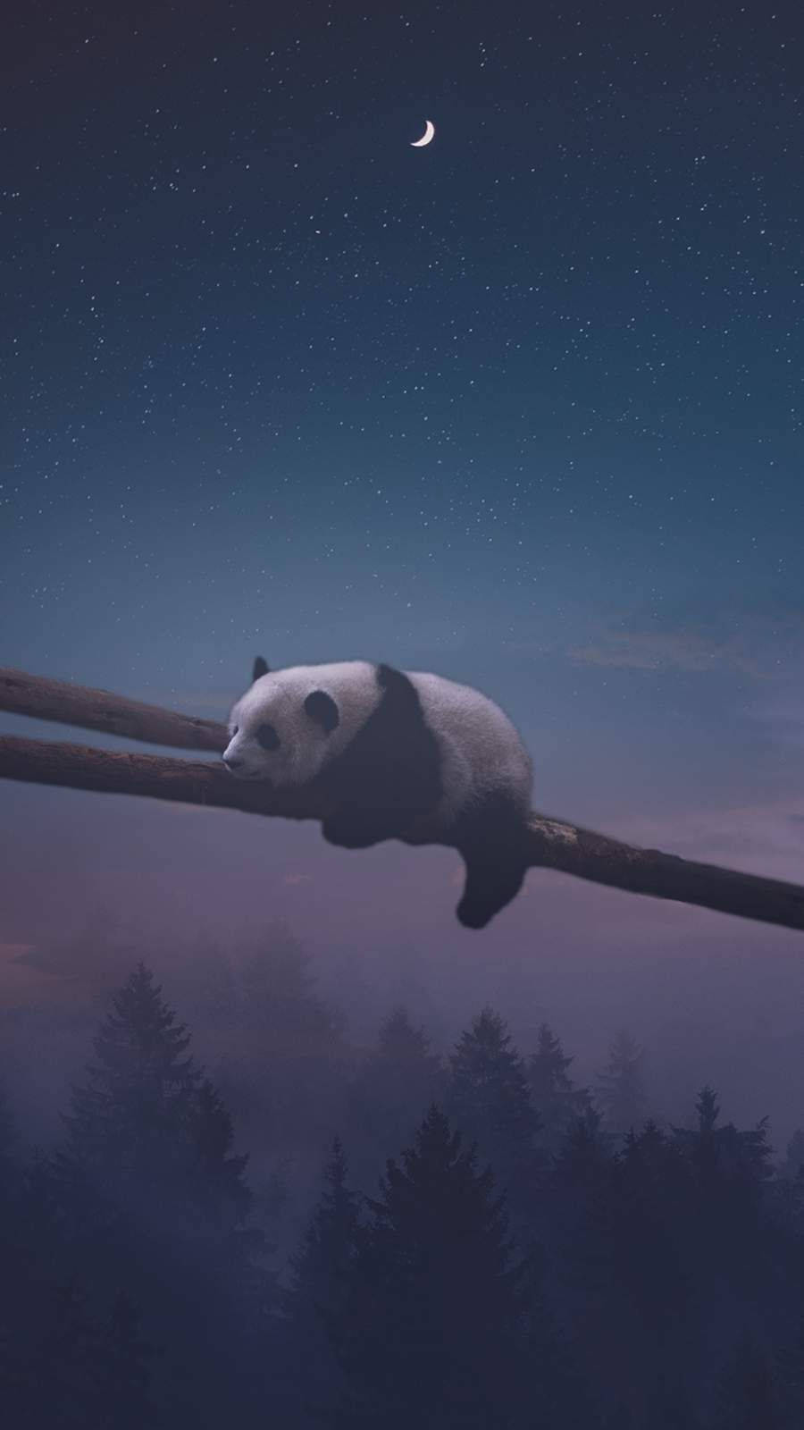 Panda Usiku Analala Picha ya Ukuta