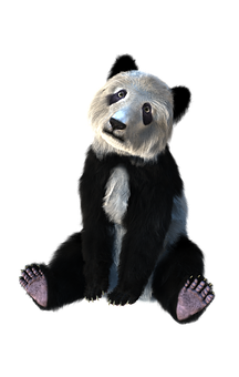 Panda wa Kukaa Suraal Picha ya Ukuta