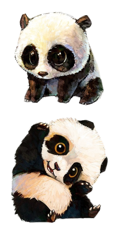 Panda Wawili Wa Kuchekesha Wenye Uongo Picha ya Ukuta