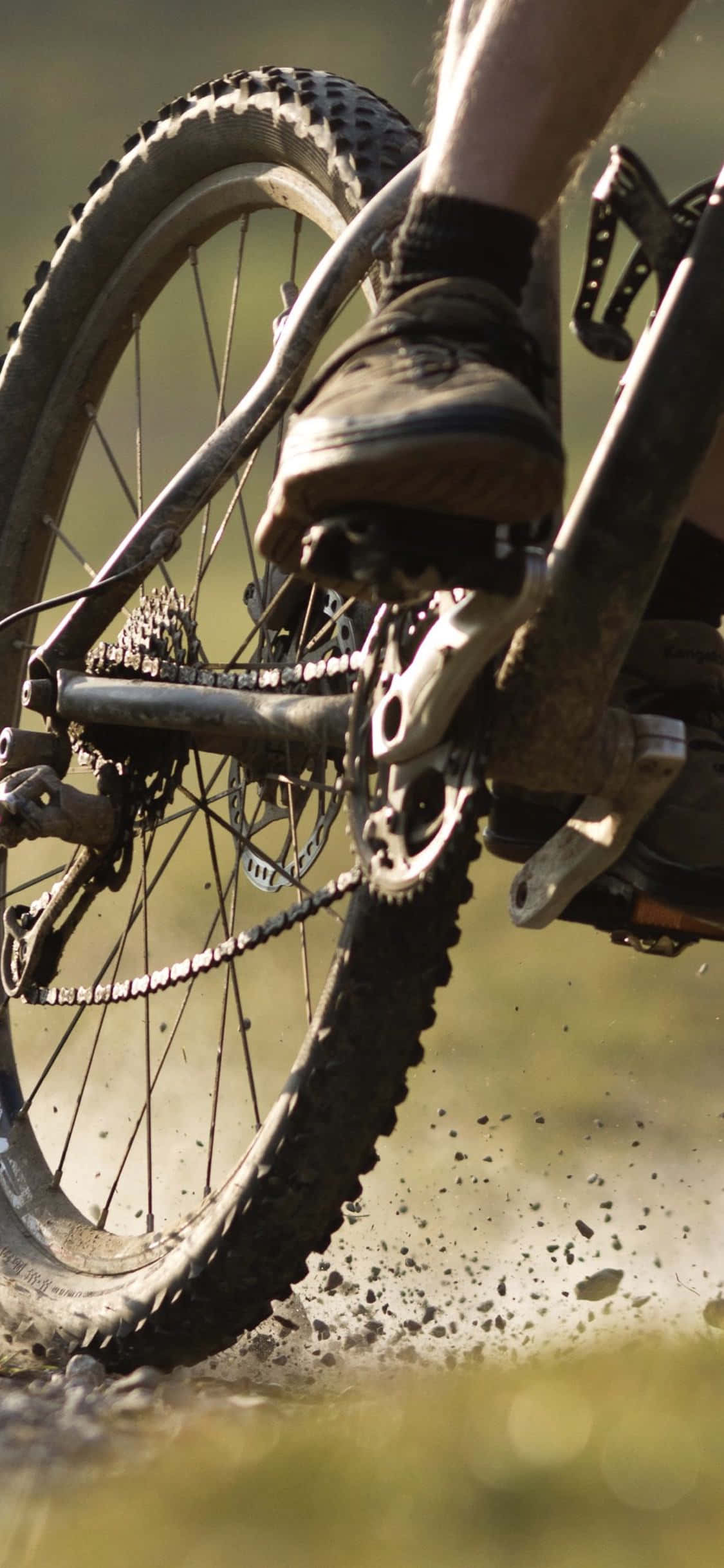 Enjoy the thrill of outdoor mountain biking with your iPhone. Picha ya Ukuta