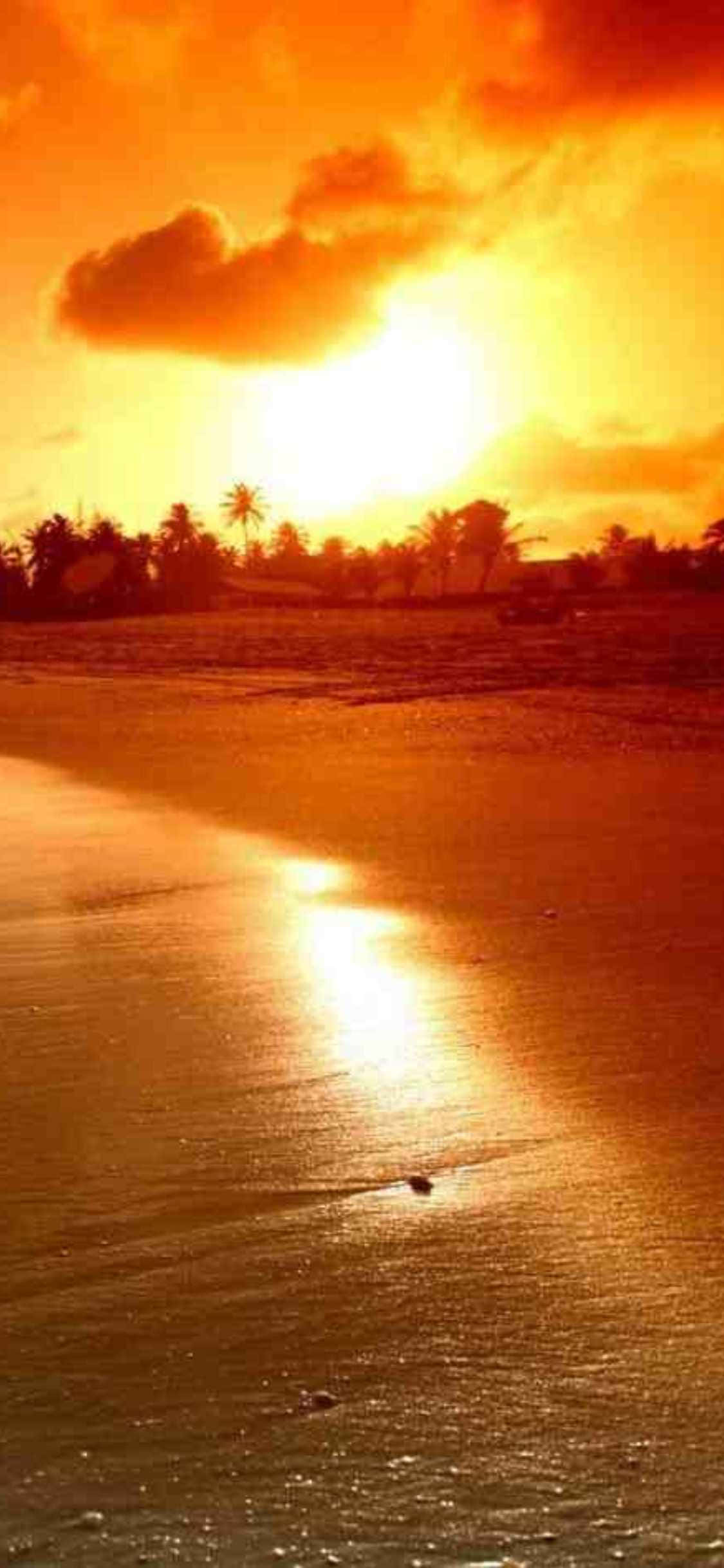 Pata mandhari ya kupendeza ya pwani kila wakati unapoangalia iPhone Xs yako na hii wallpaper ya Malibu, California! Picha ya Ukuta