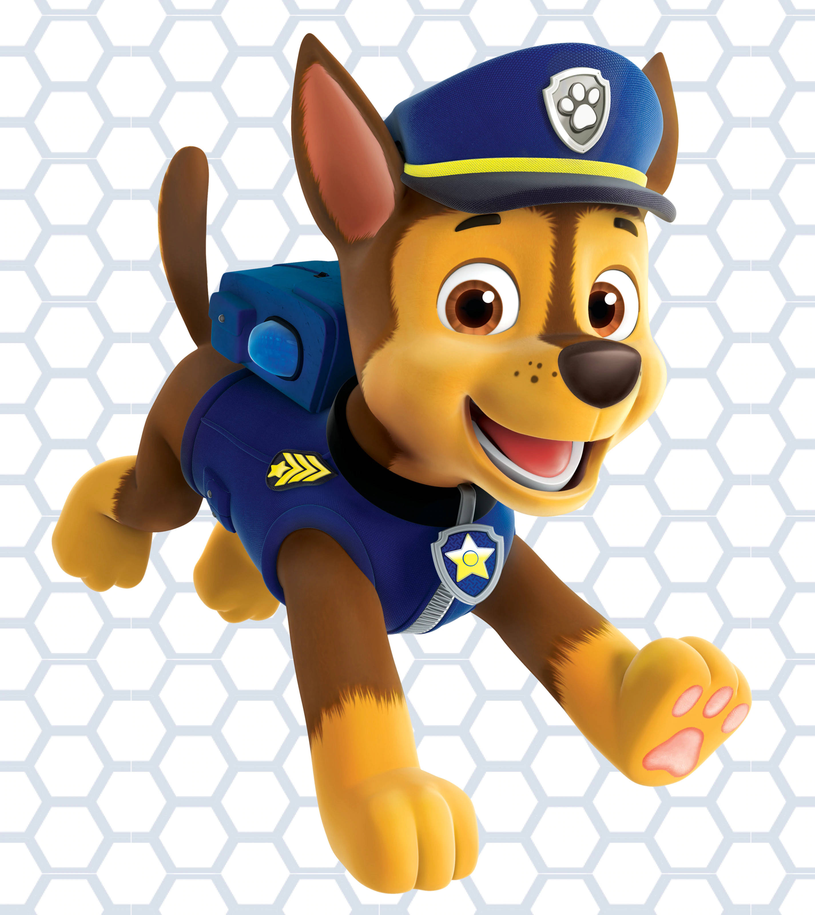 Paw Patrol Chase Picha ya Ukuta