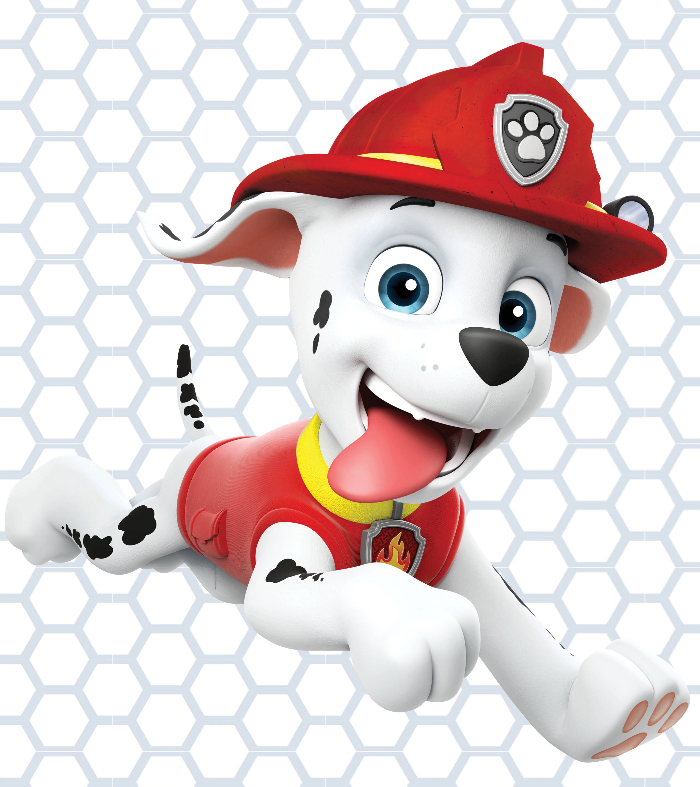 Paw Patrol Marshall Picha ya Ukuta
