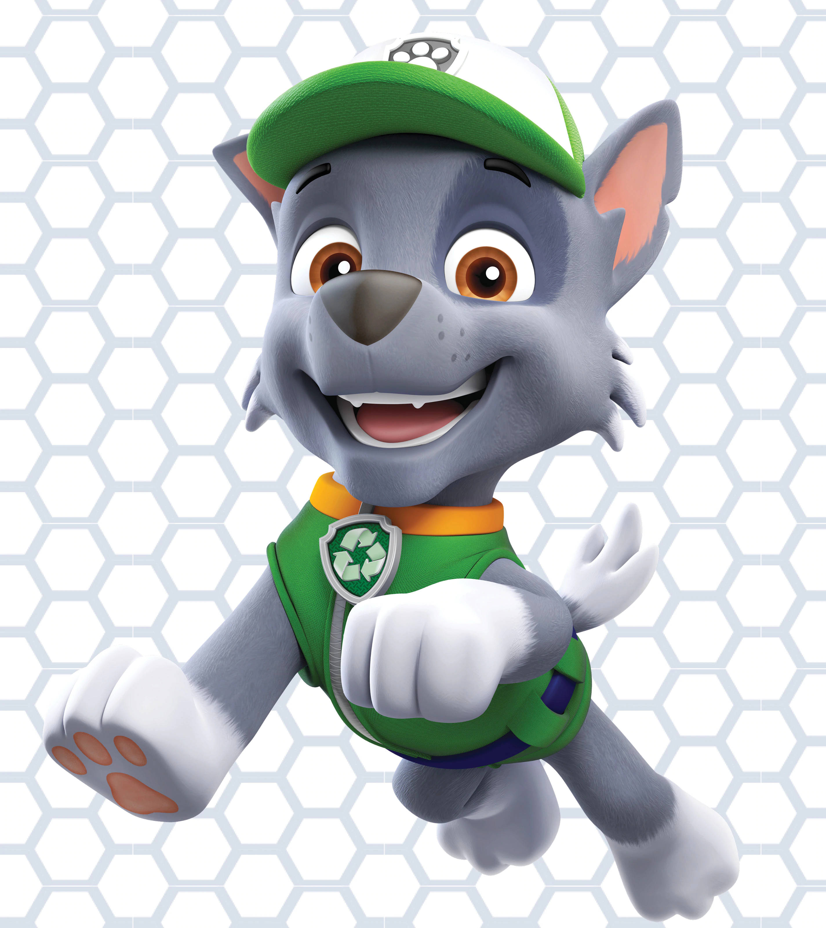 Paw Patrol Rocky Picha ya Ukuta