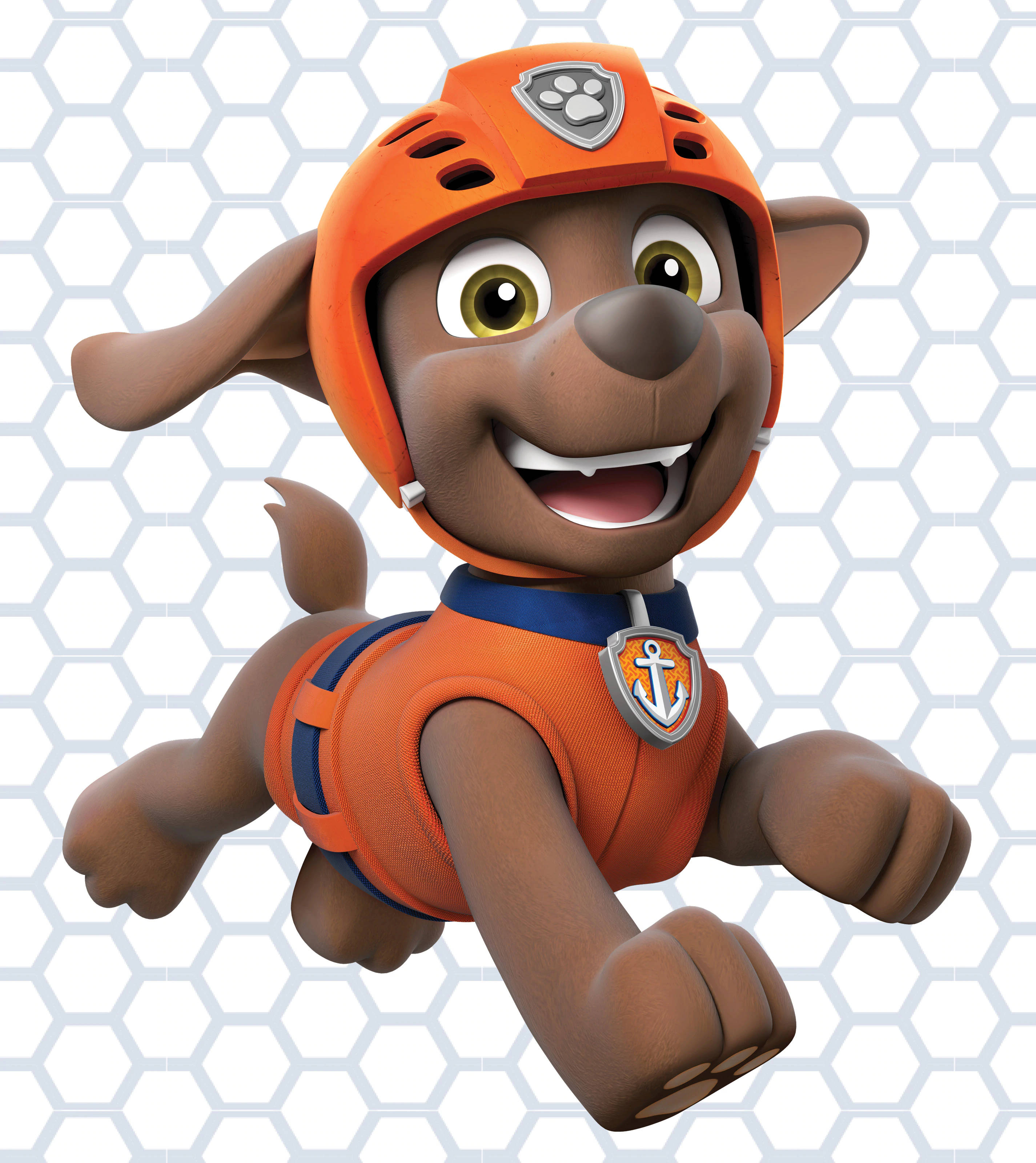 Paw Patrol Water Rescuer Zuma Picha ya Ukuta