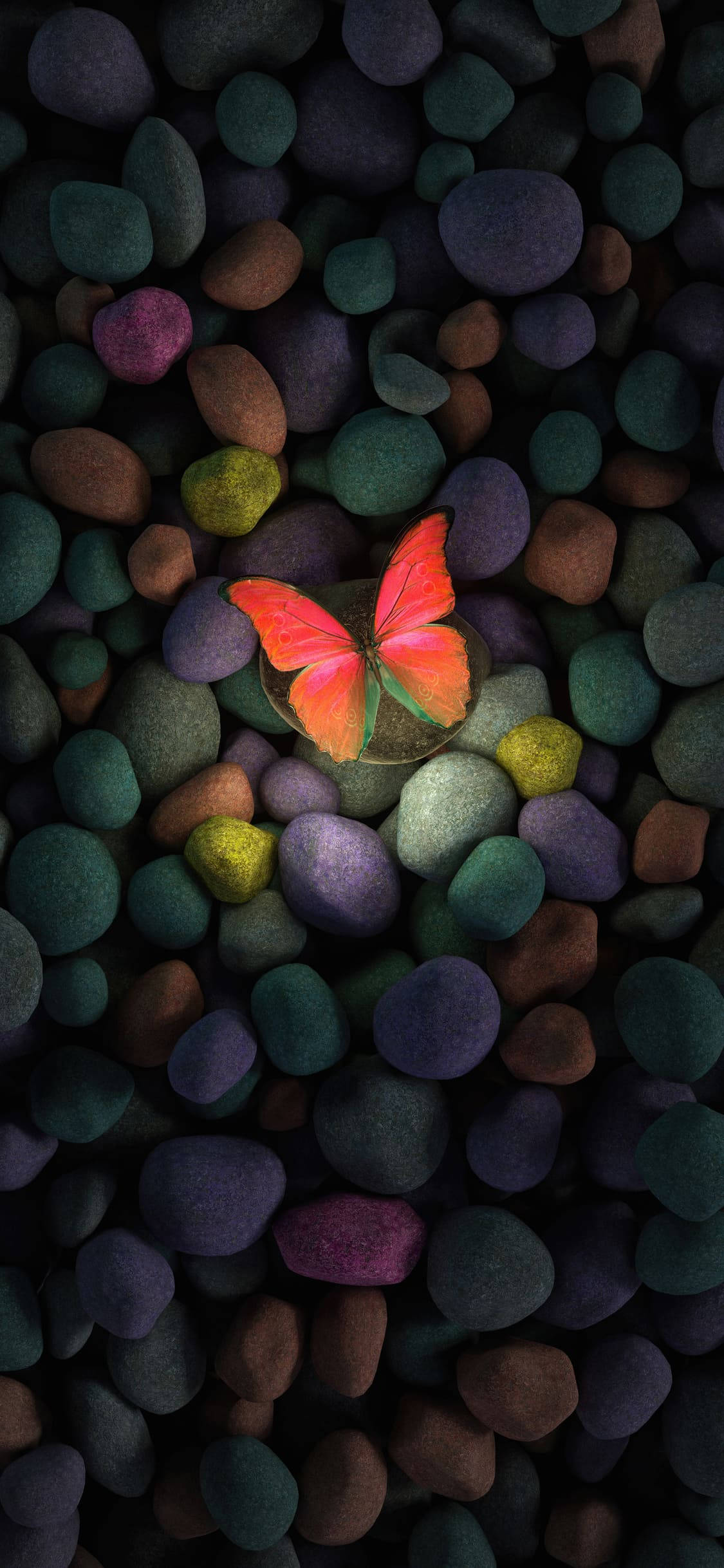 Pebble Rangi na Butterfly Aesthetic iPhone Xr Picha ya Ukuta