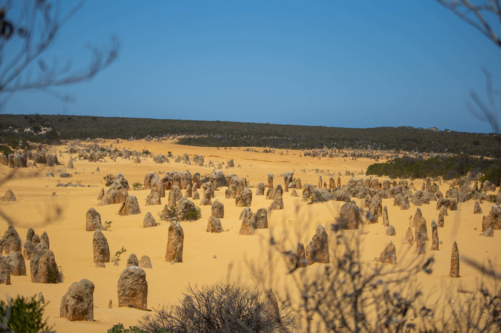Perth Yanchep National Park Picha ya Ukuta