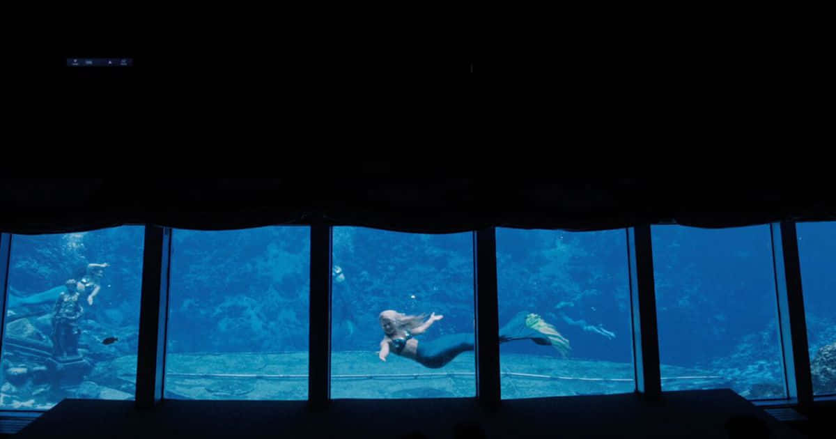 Picha Halisi ya Mermaid kwenye Aquarium Picha ya Ukuta
