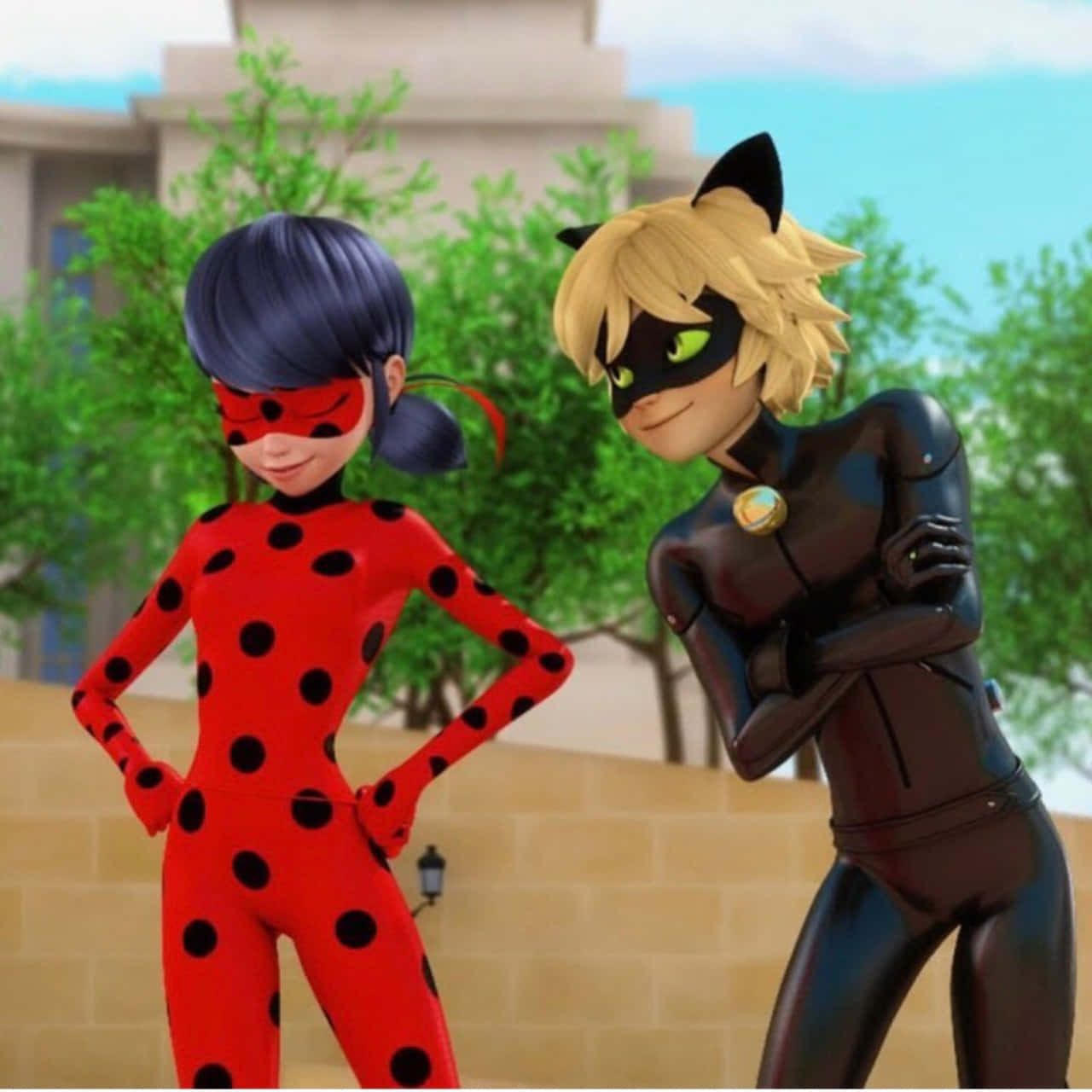 Picha ya Ajabu ya Ladybug na Cat Noir Wanaozesha Picha ya Ukuta