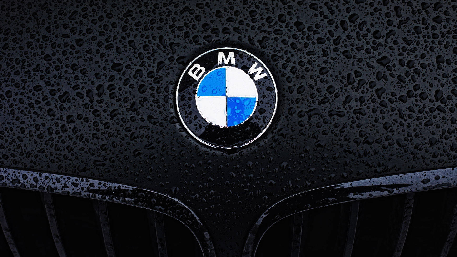 Picha ya Karibu ya Alama ya BMW kwenye Laptop Picha ya Ukuta