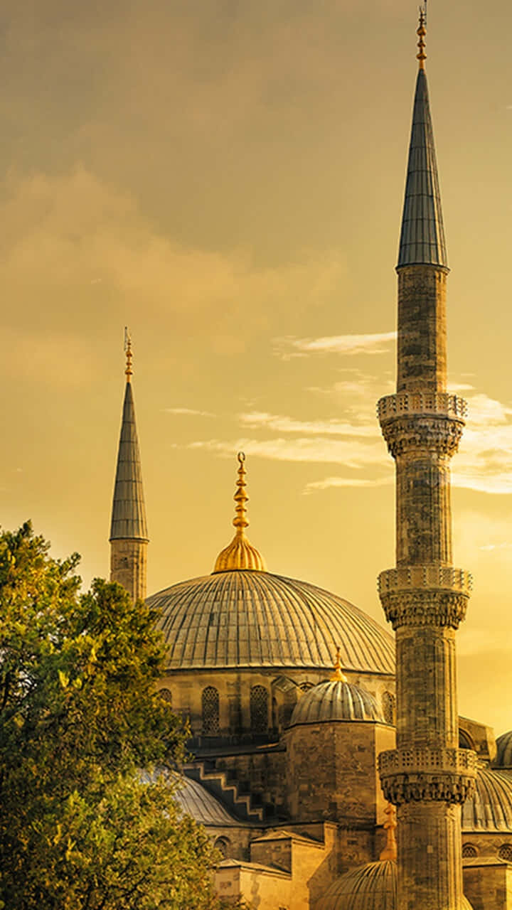 Picha ya Masjid Blue Saa za Dhahabu Picha ya Ukuta