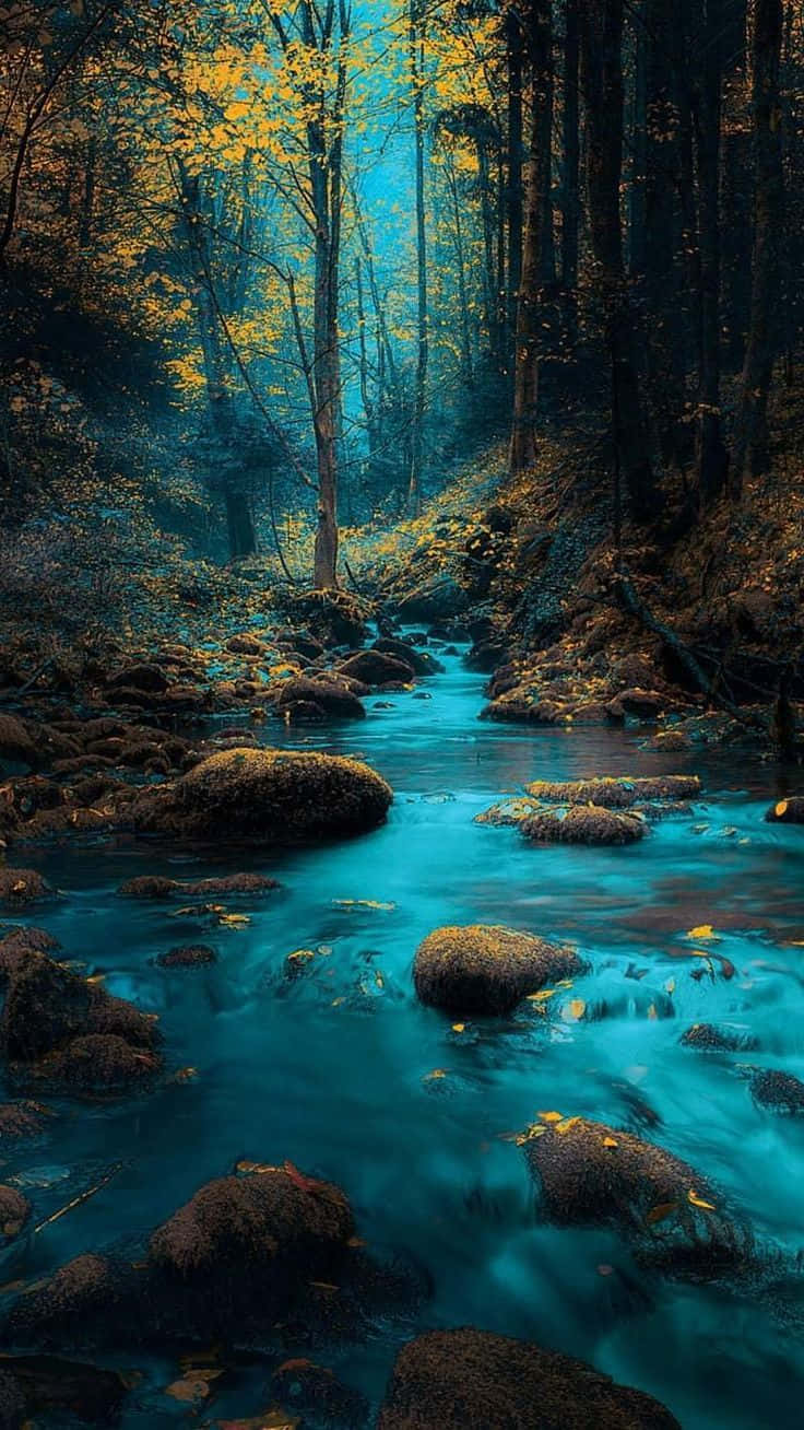 Picha ya Mazingira Asilia ya Mto wa Bluu Picha ya Ukuta
